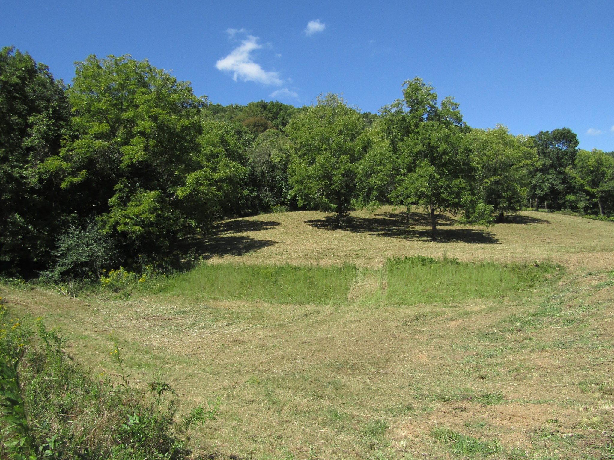 14 Ac Hartsville Road Lafayette TN 37083