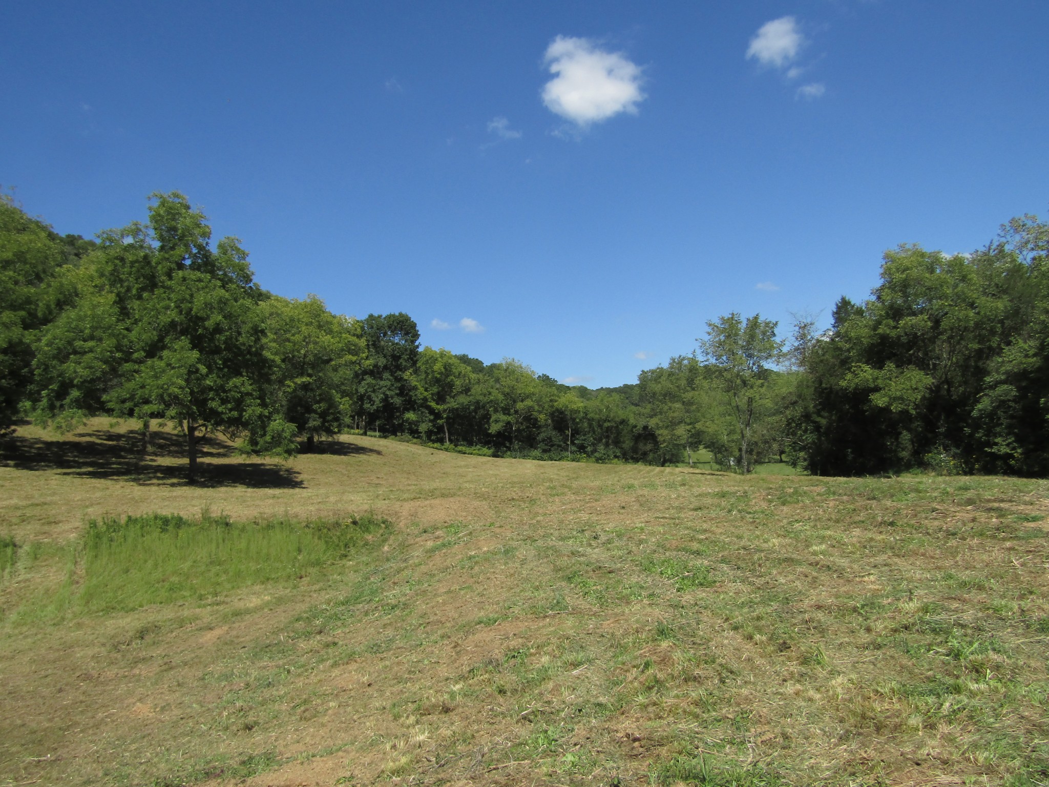 14 Ac Hartsville Road Lafayette TN 37083