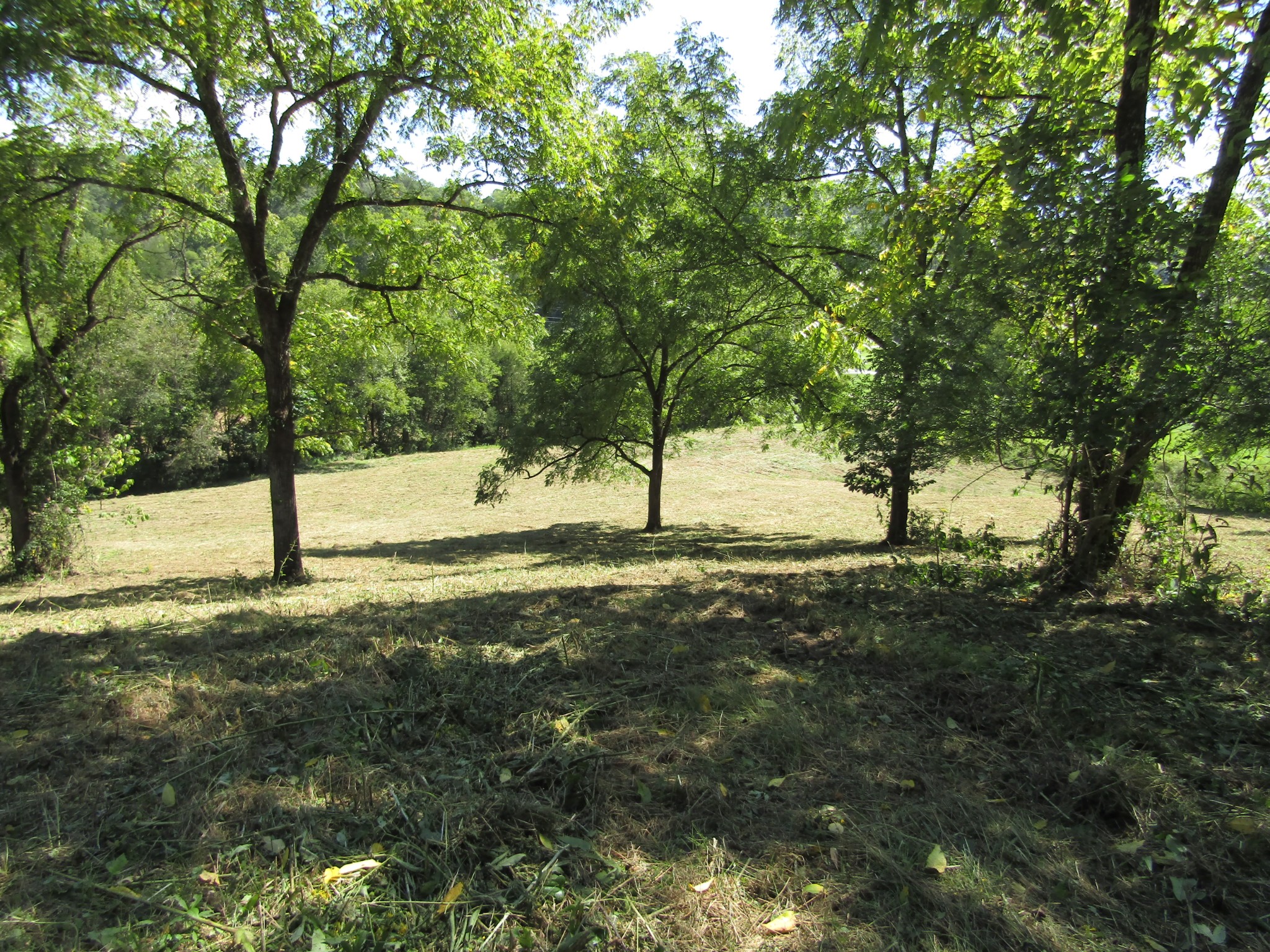 14 Ac Hartsville Road Lafayette TN 37083