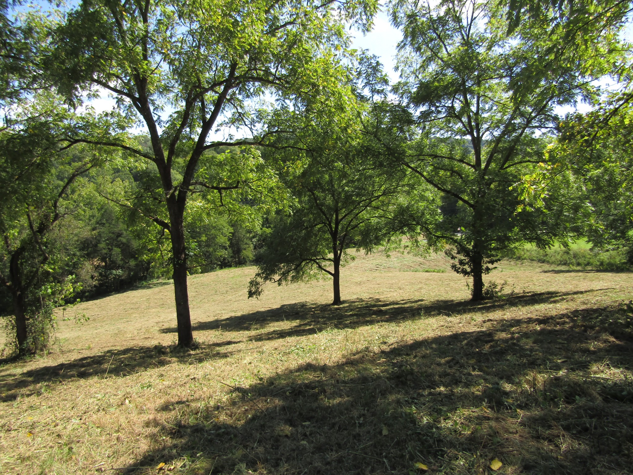 14 Ac Hartsville Road Lafayette TN 37083