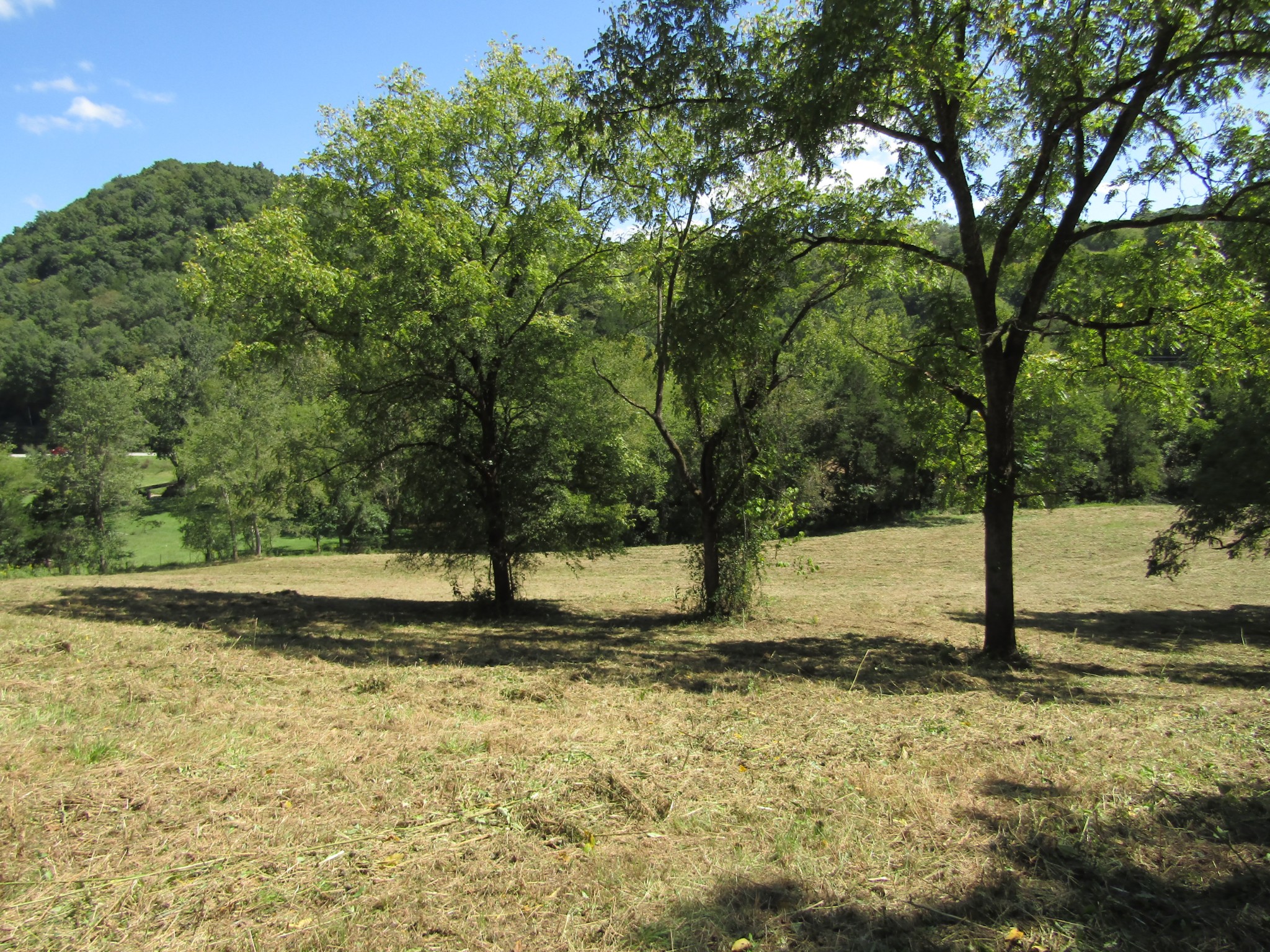 14 Ac Hartsville Road Lafayette TN 37083