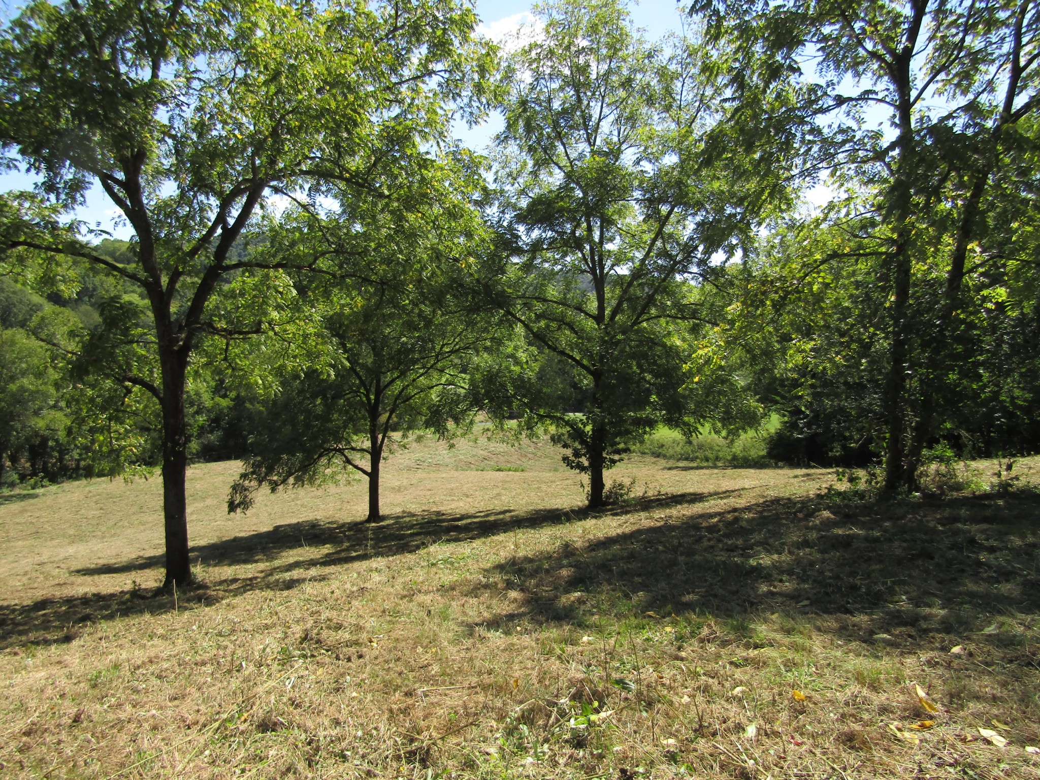 14 Ac Hartsville Road Lafayette TN 37083