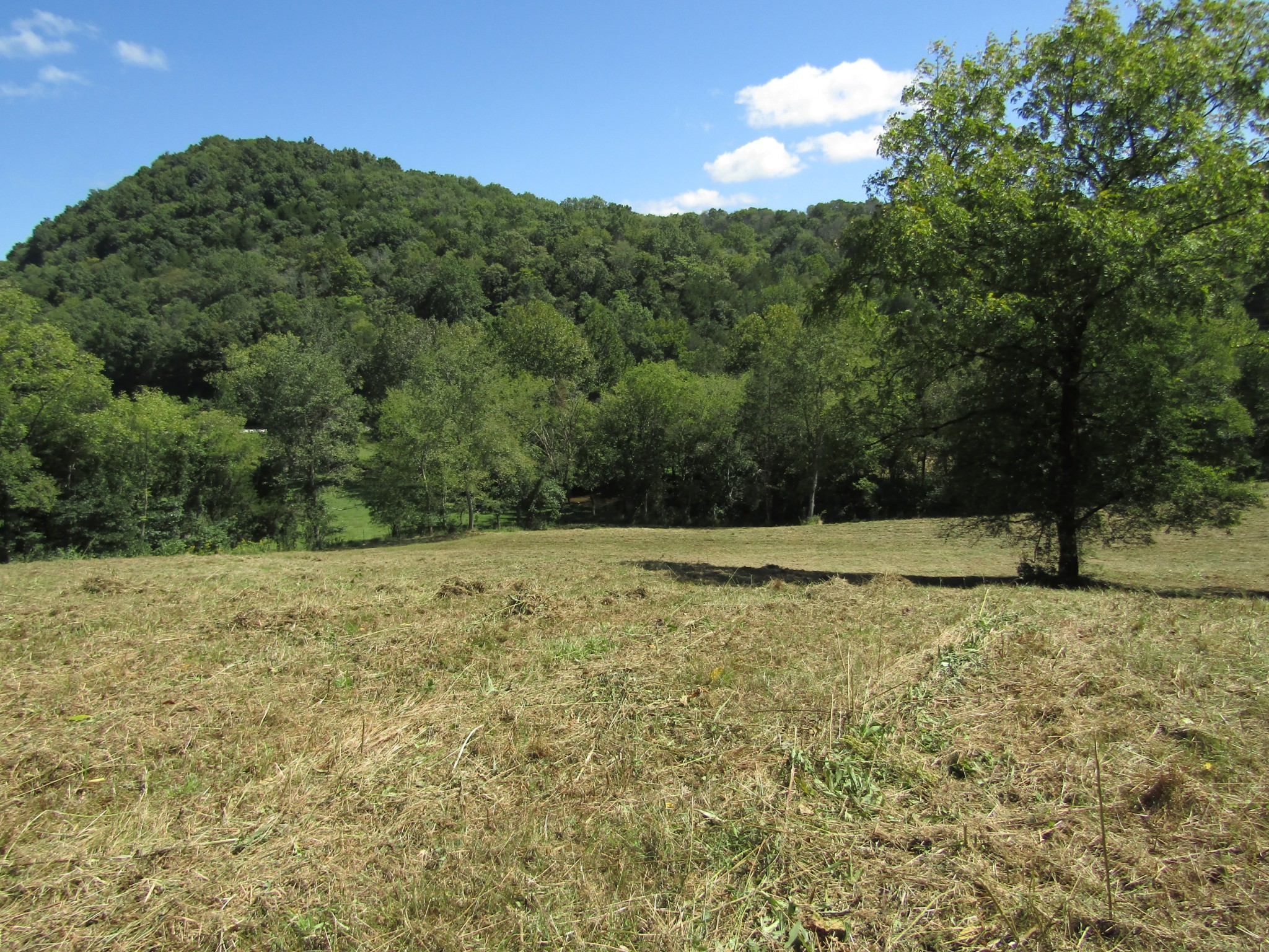 14 Ac Hartsville Road Lafayette TN 37083