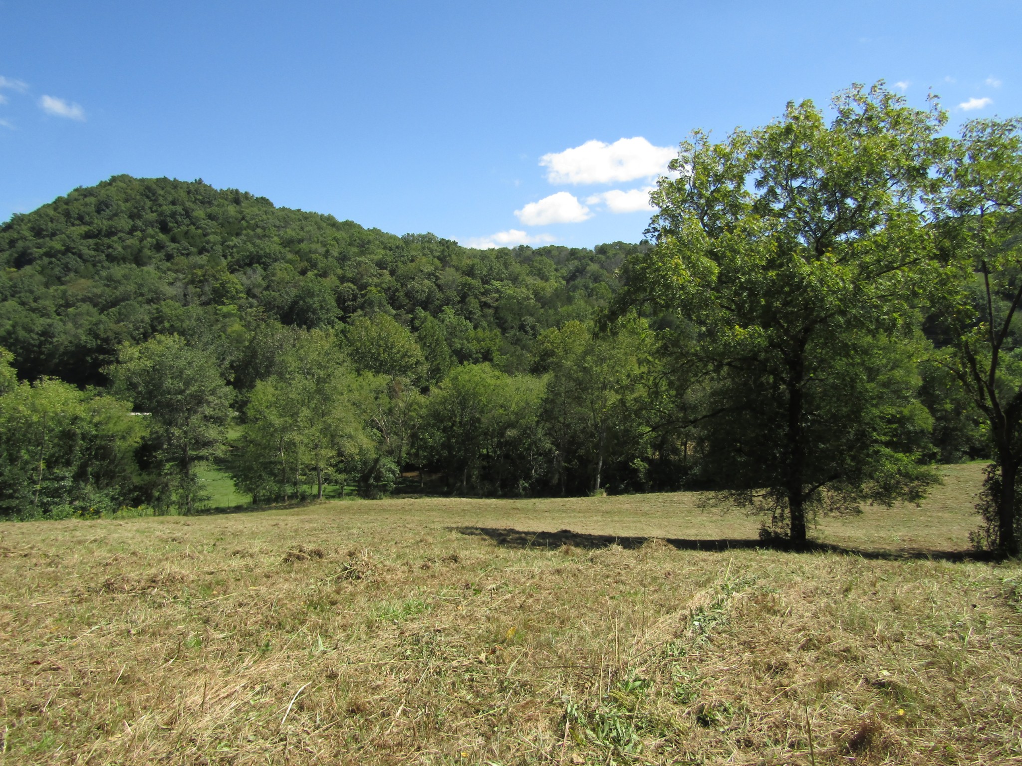 14 Ac Hartsville Road Lafayette TN 37083