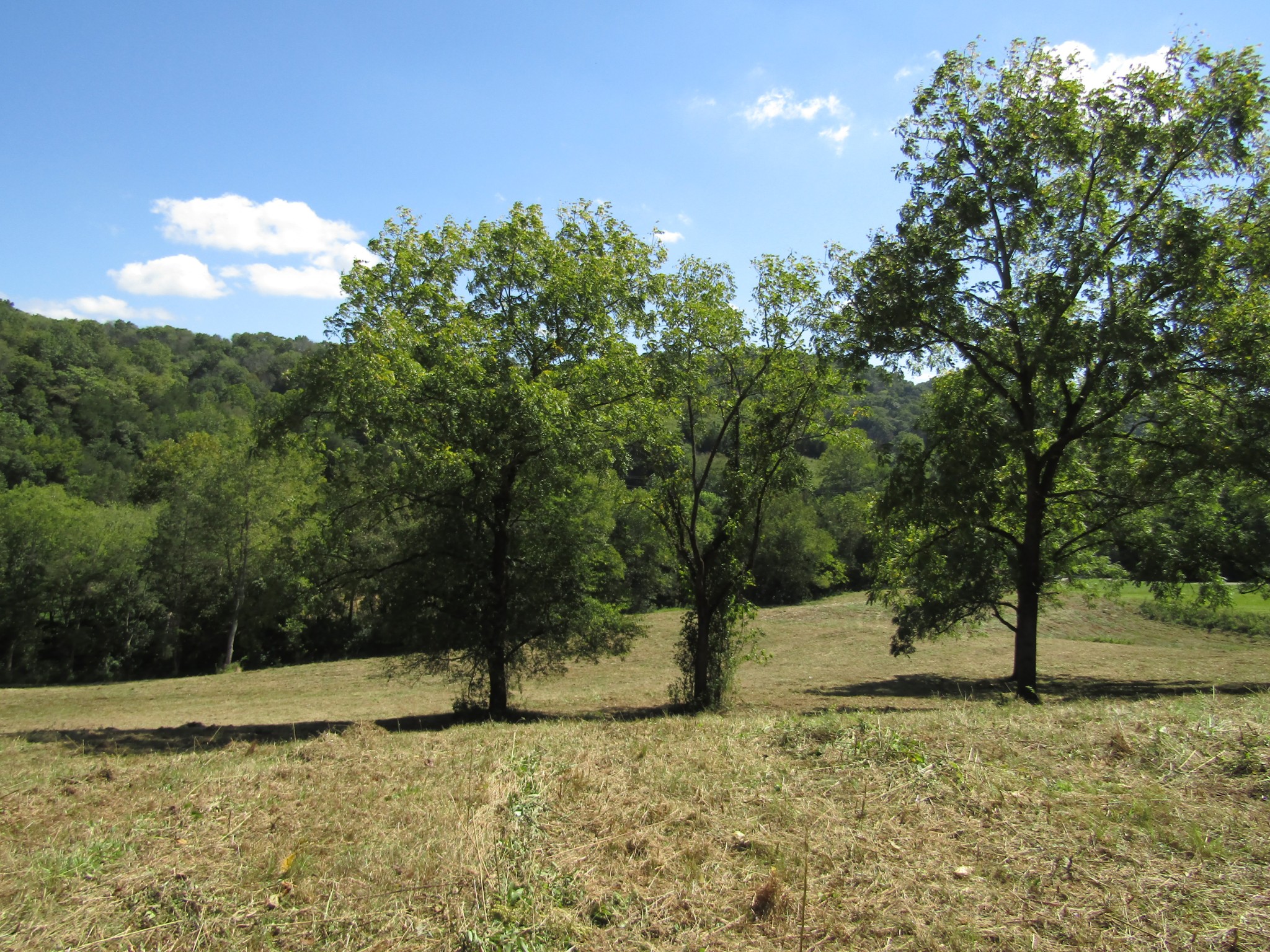 14 Ac Hartsville Road Lafayette TN 37083