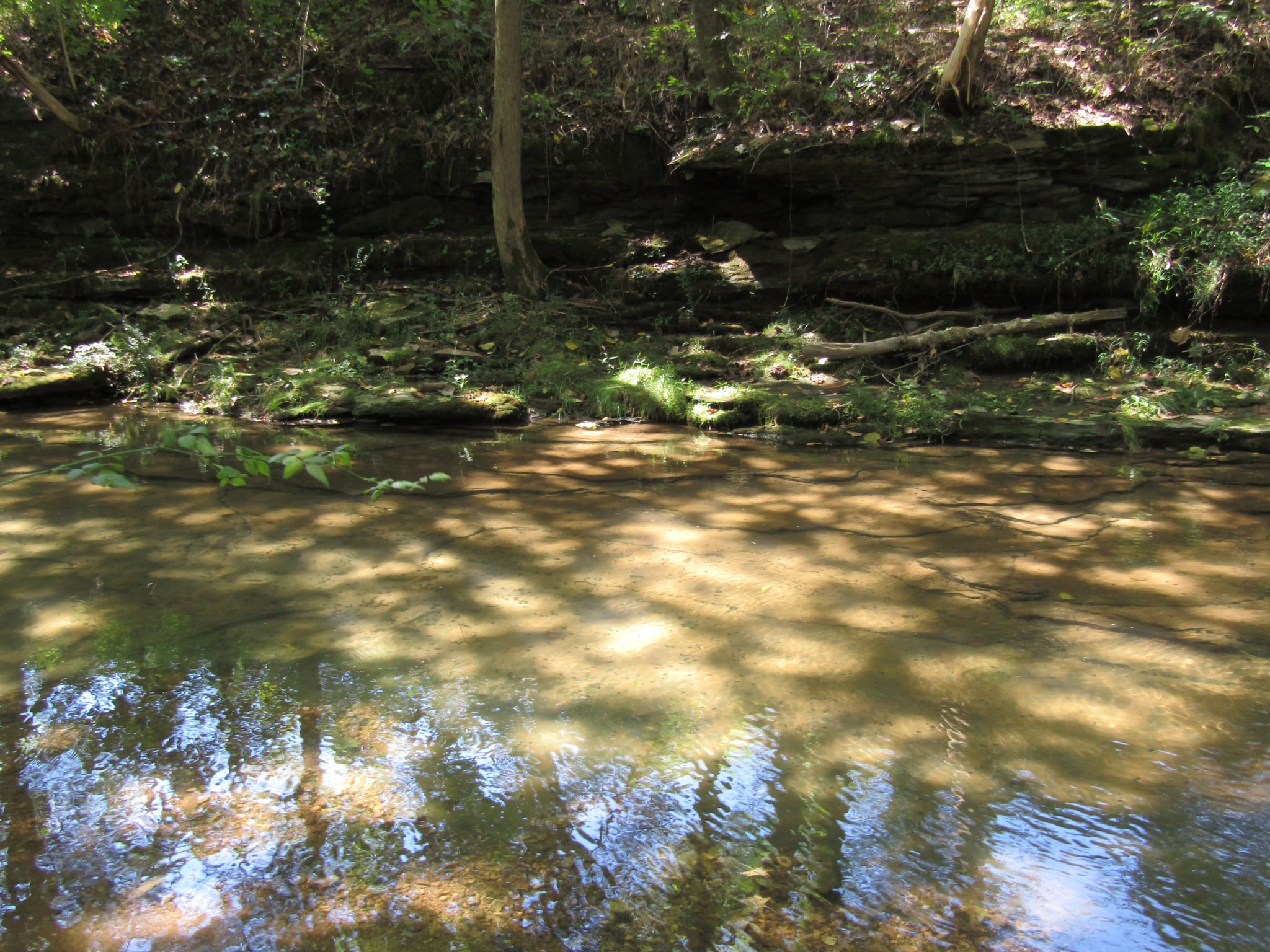 14 Ac Hartsville Road Lafayette TN 37083
