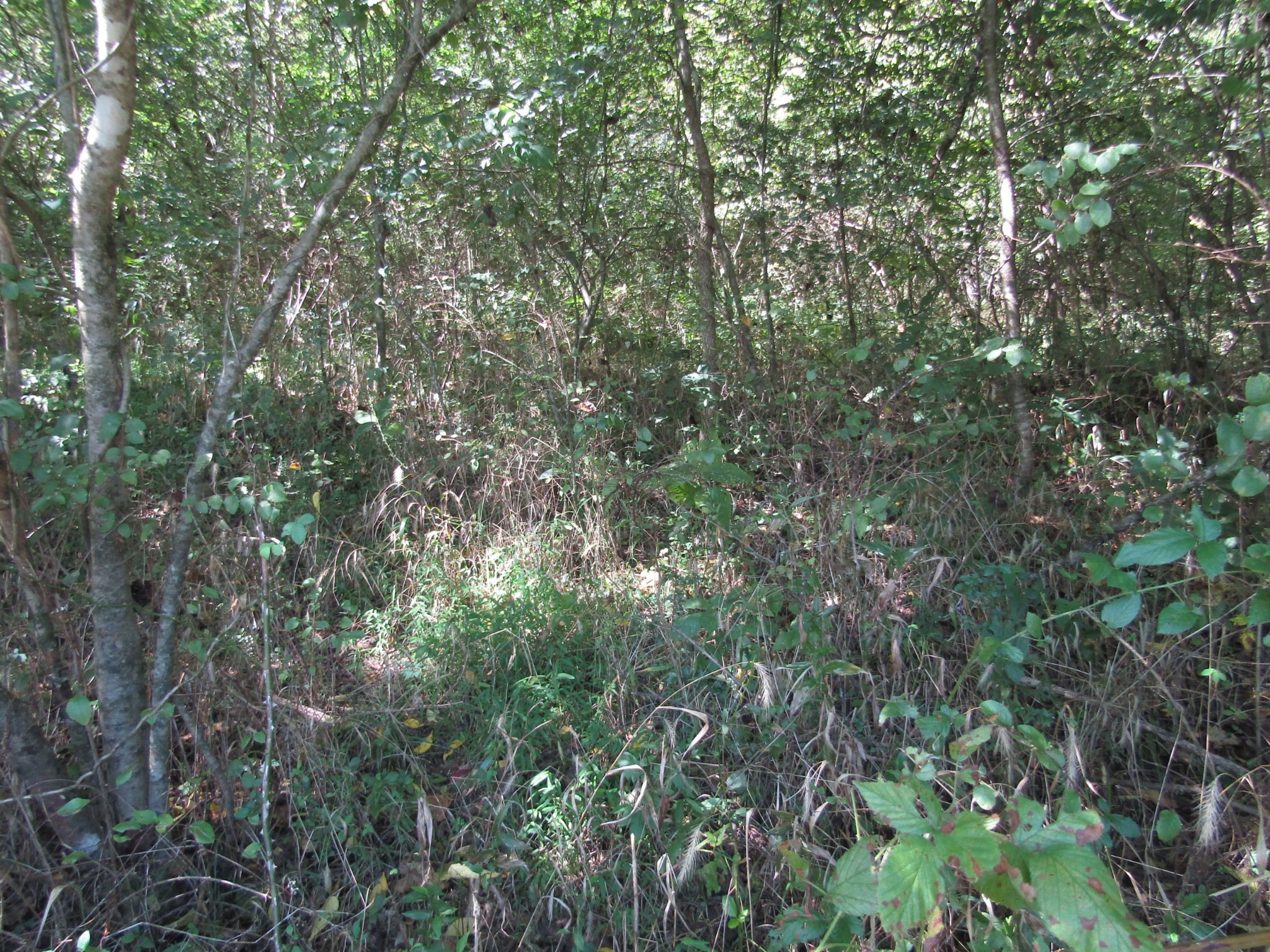 14 Ac Hartsville Road Lafayette TN 37083