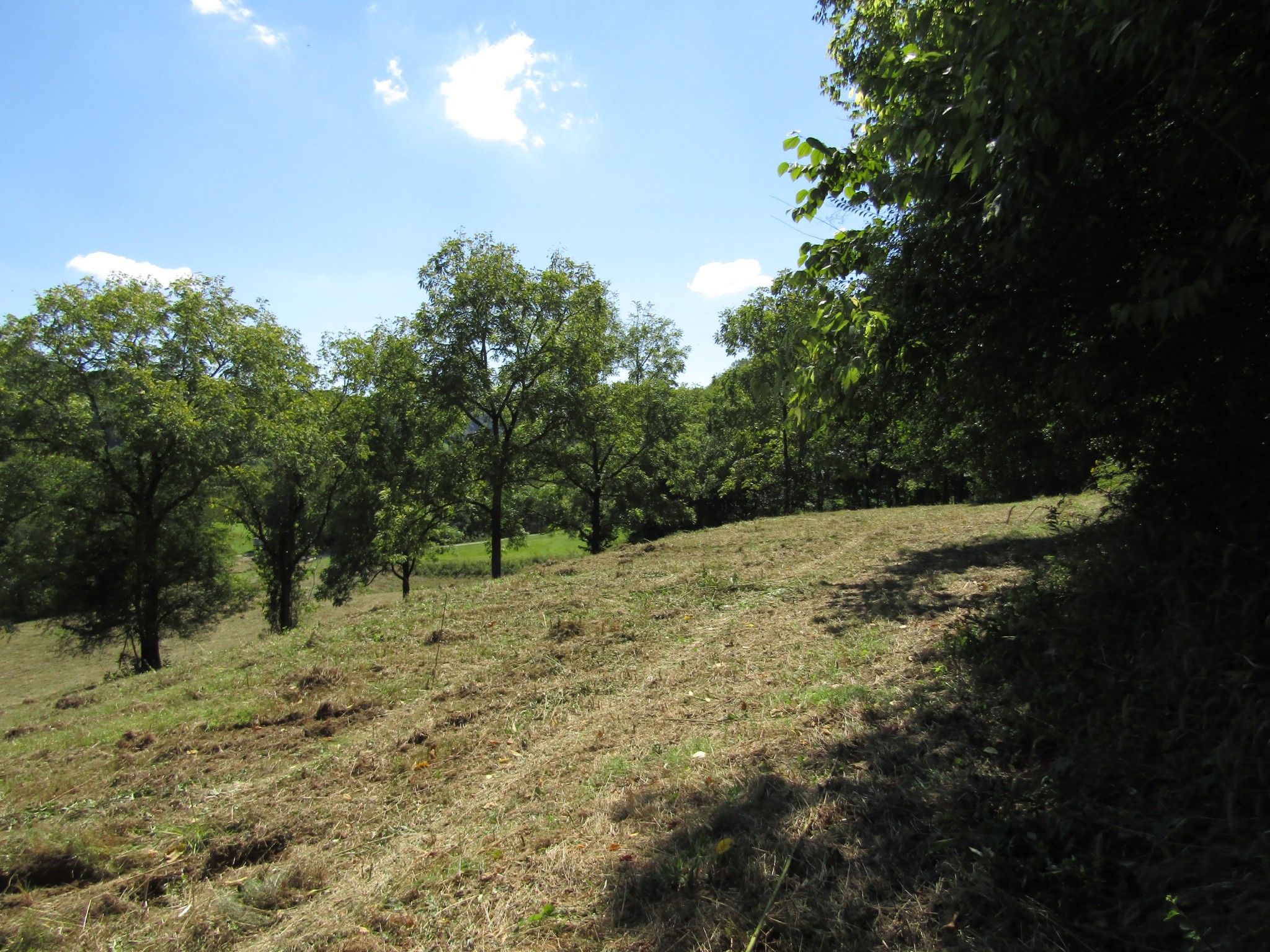 14 Ac Hartsville Road Lafayette TN 37083