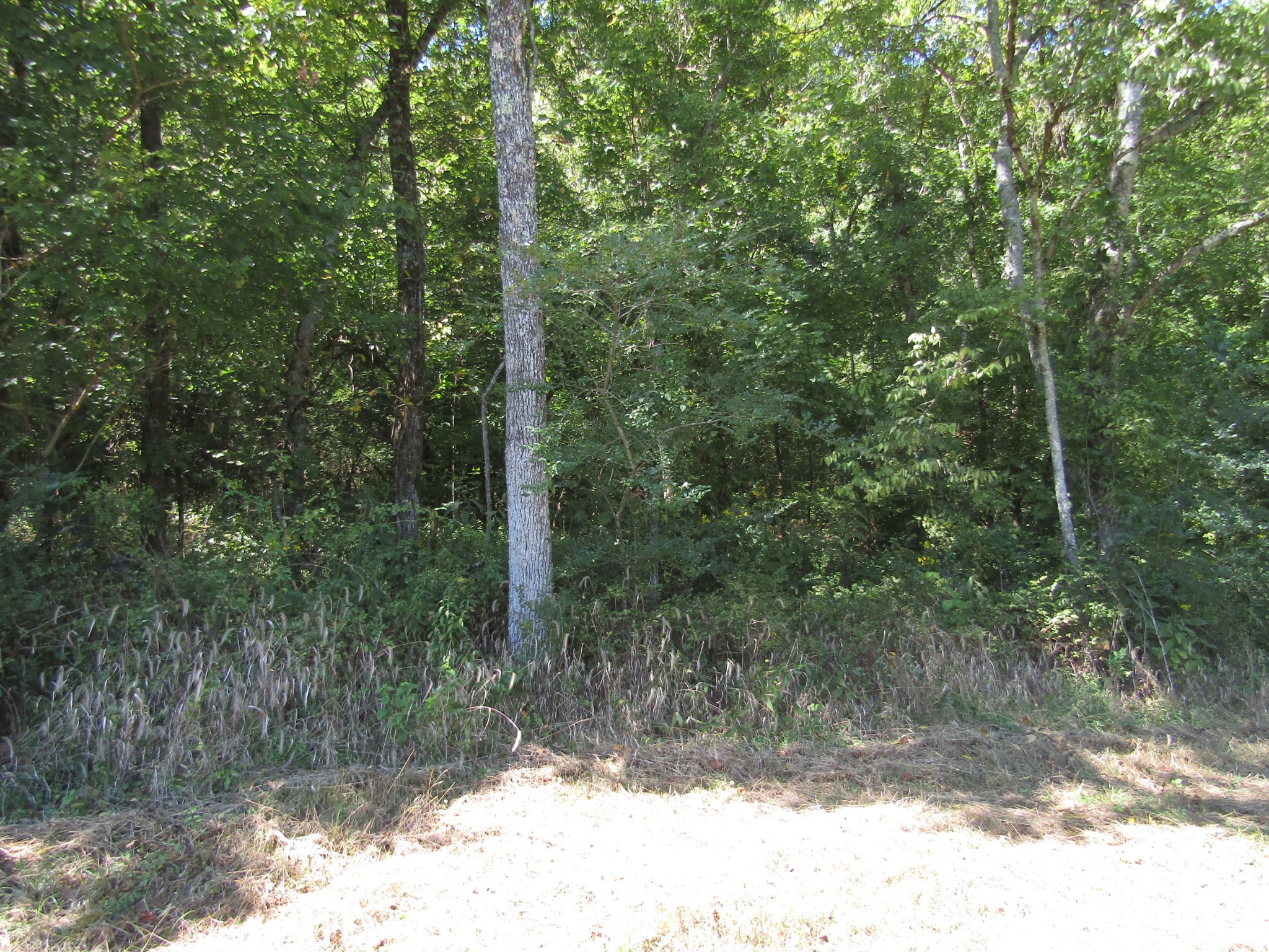 14 Ac Hartsville Road Lafayette TN 37083