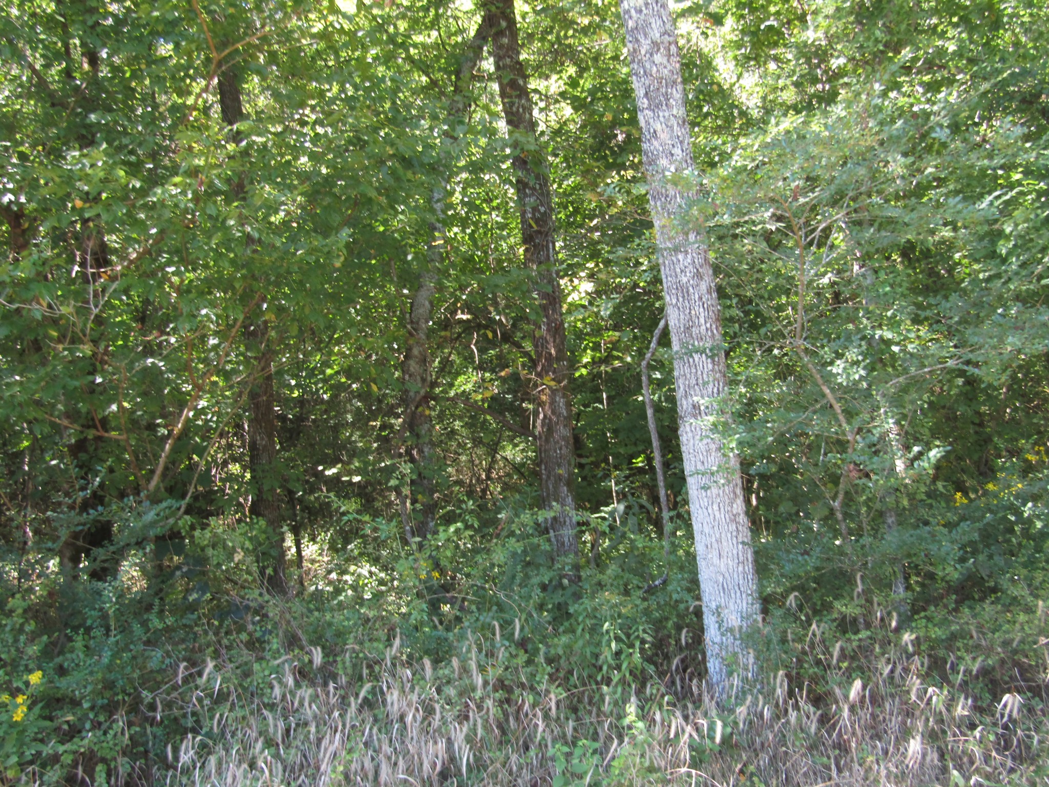 14 Ac Hartsville Road Lafayette TN 37083
