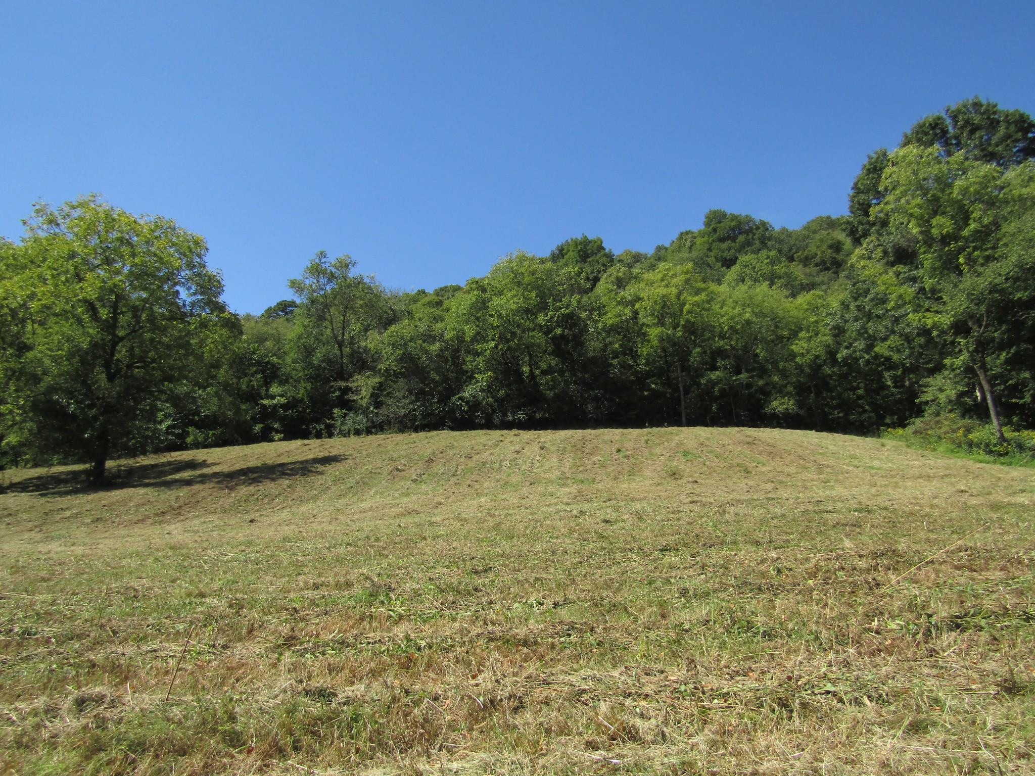 14 Ac Hartsville Road Lafayette TN 37083