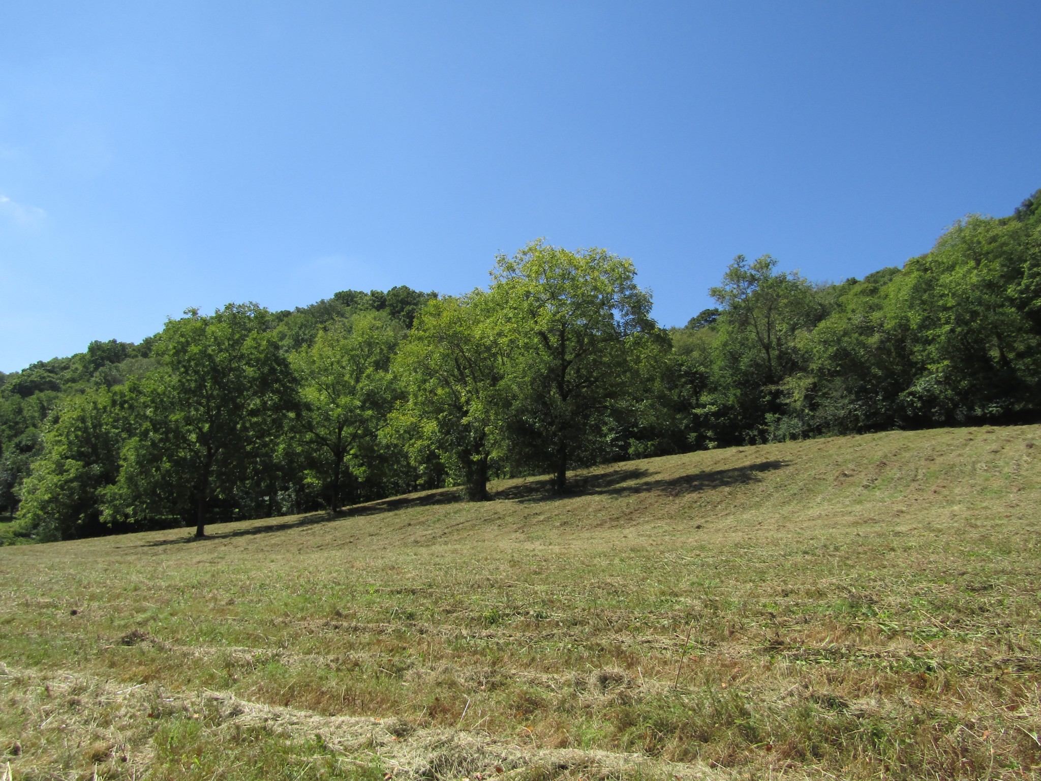 14 Ac Hartsville Road Lafayette TN 37083