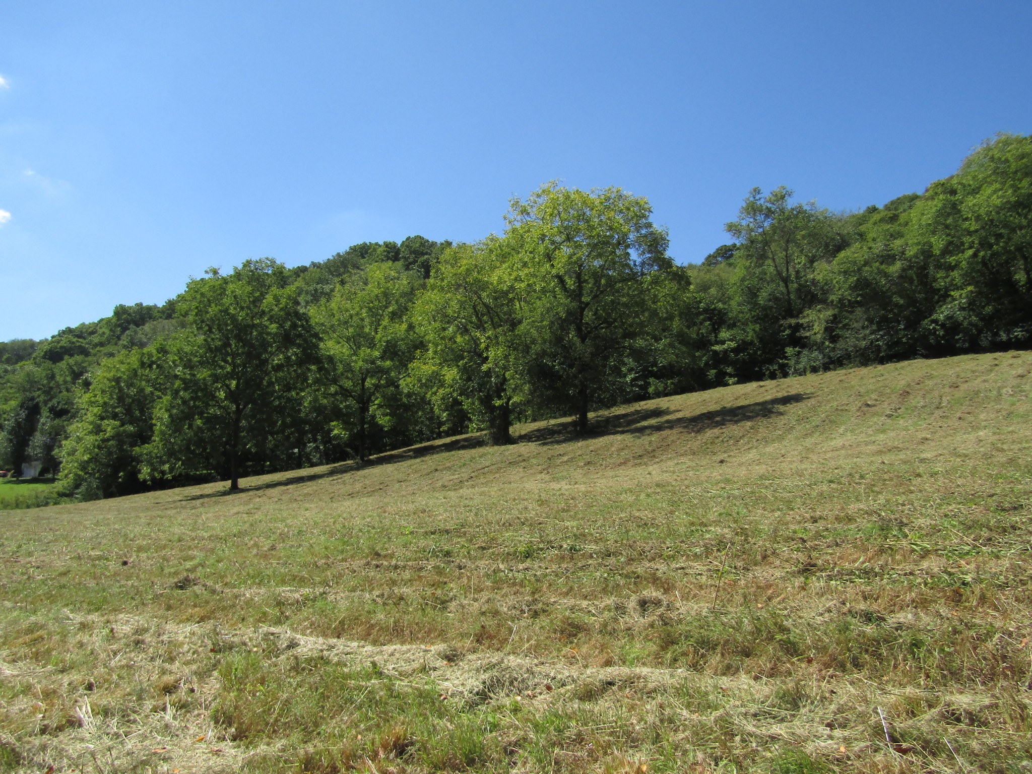 14 Ac Hartsville Road Lafayette TN 37083