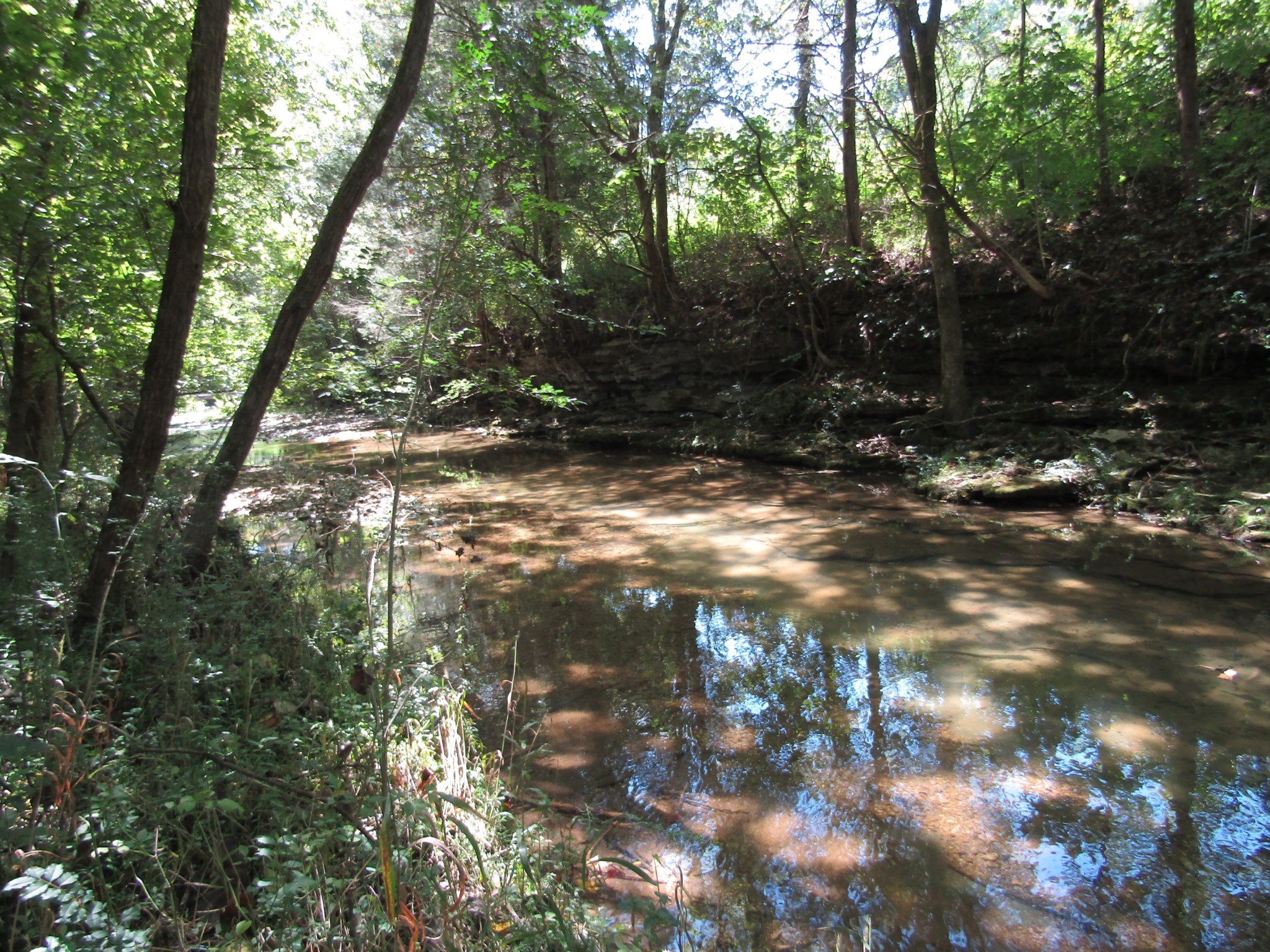 14 Ac Hartsville Road Lafayette TN 37083