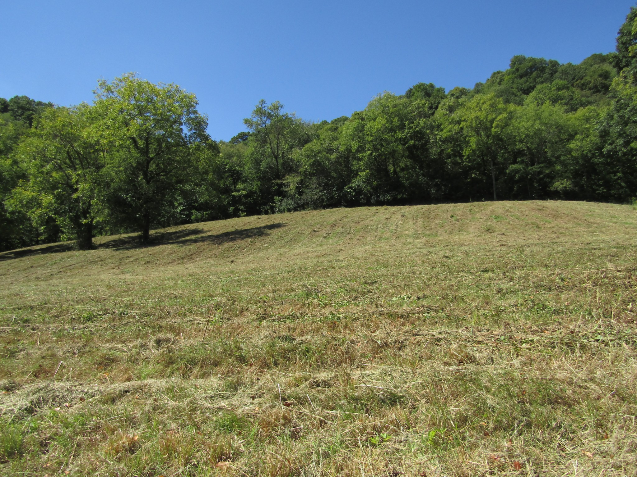 14 Ac Hartsville Road Lafayette TN 37083