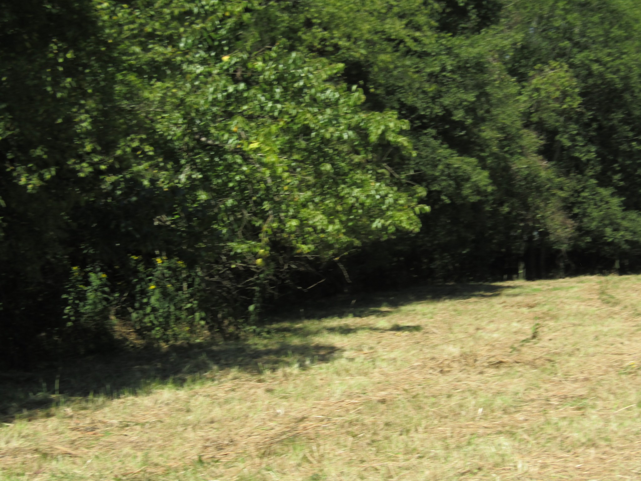 14 Ac Hartsville Road Lafayette TN 37083