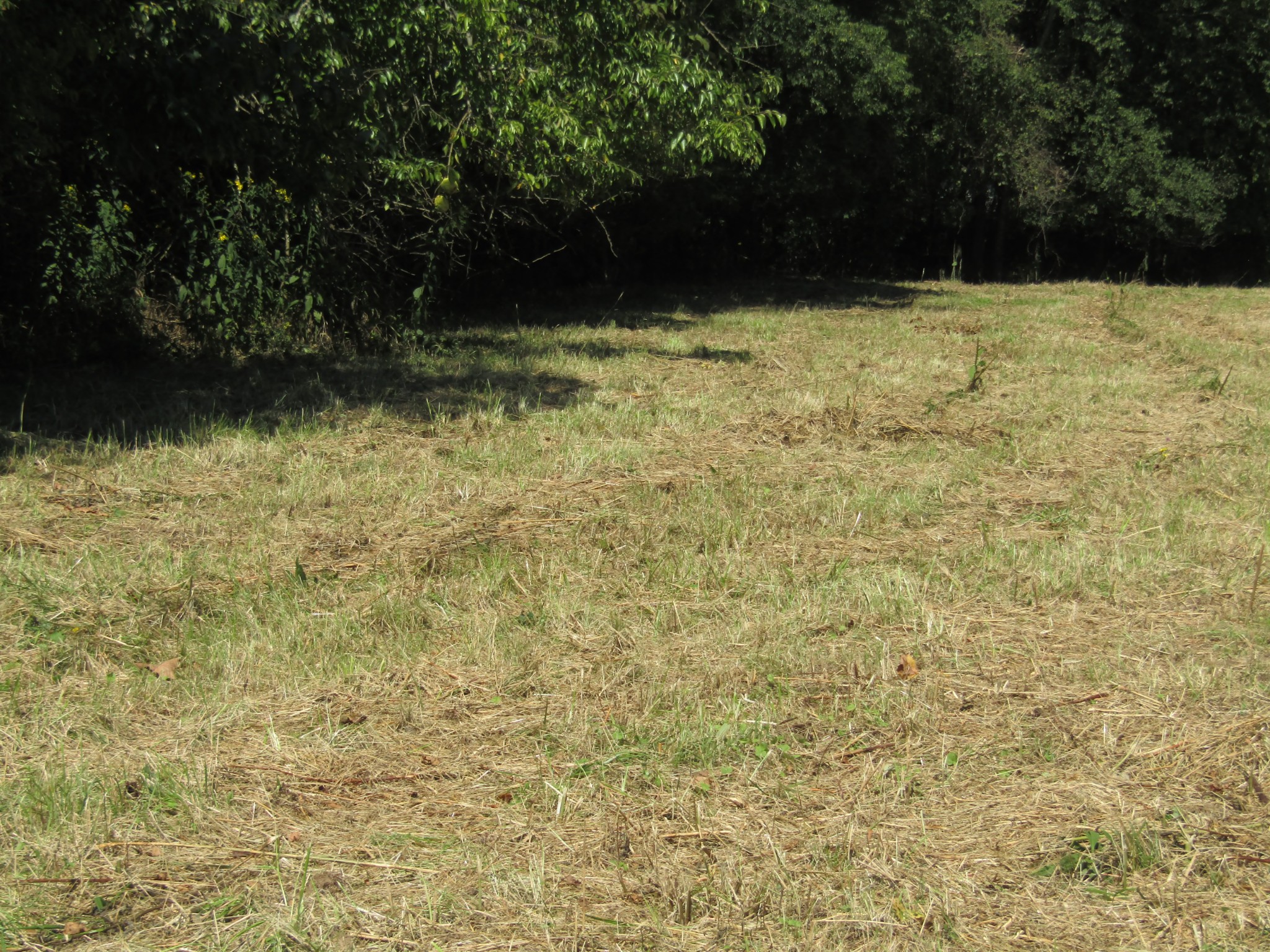14 Ac Hartsville Road Lafayette TN 37083