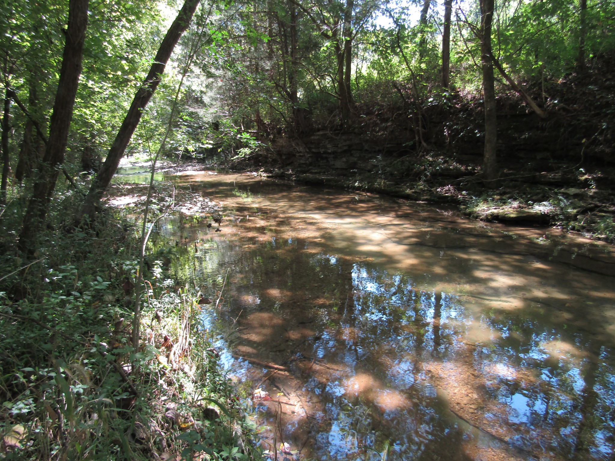 14 Ac Hartsville Road Lafayette TN 37083