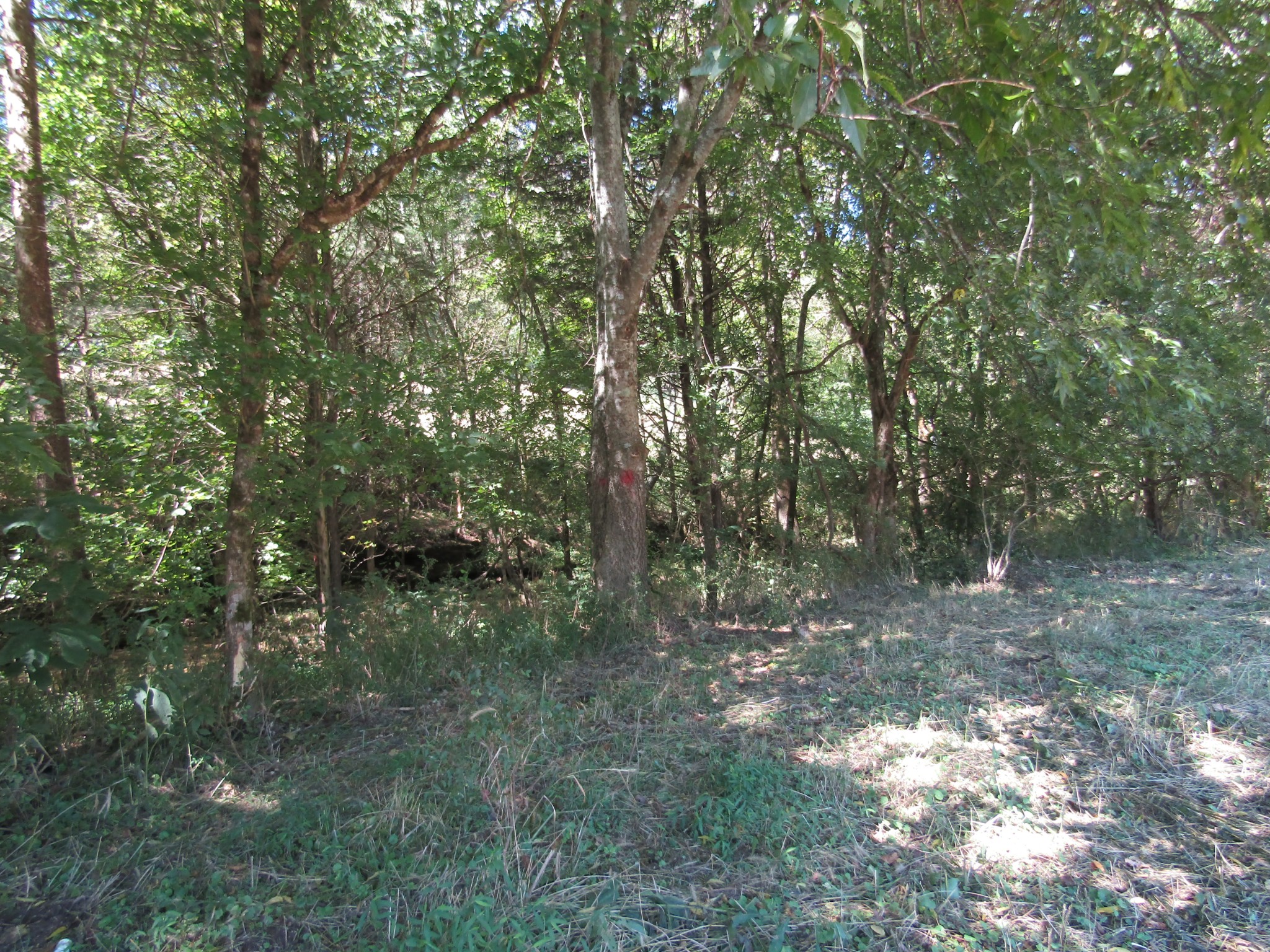 14 Ac Hartsville Road Lafayette TN 37083