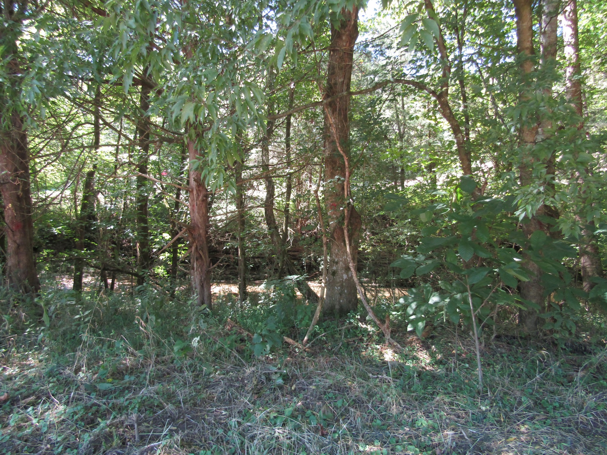 14 Ac Hartsville Road Lafayette TN 37083