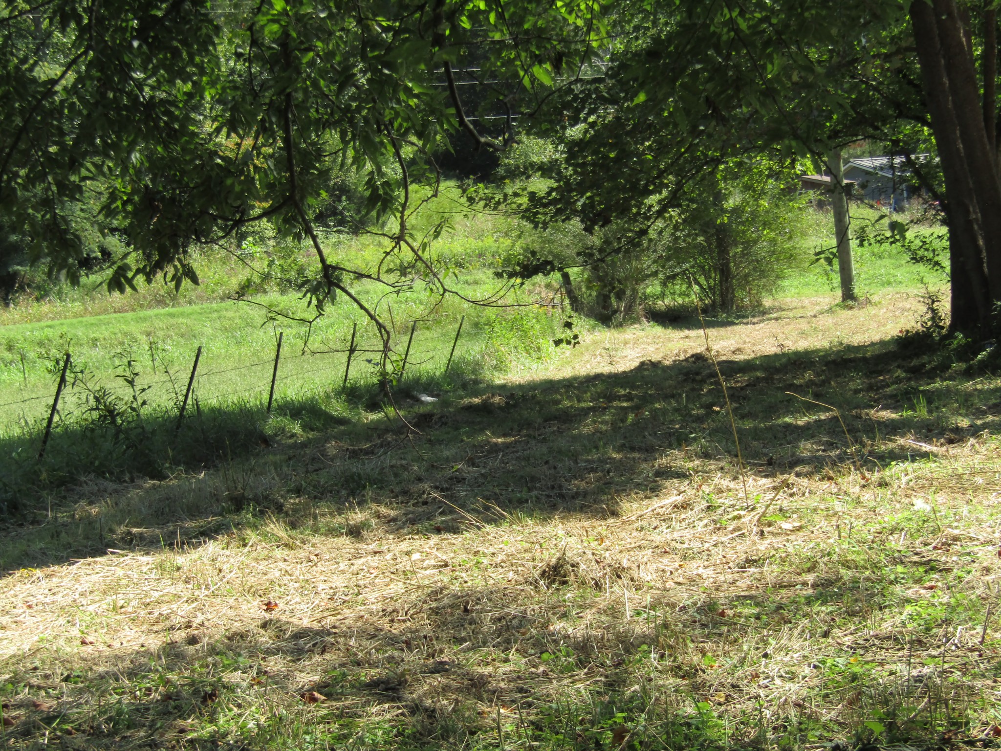 14 Ac Hartsville Road Lafayette TN 37083
