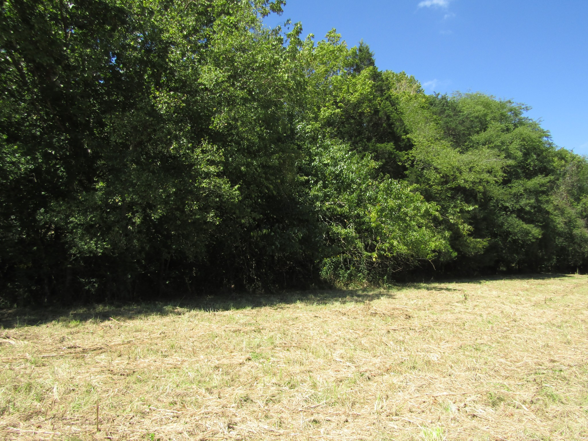 14 Ac Hartsville Road Lafayette TN 37083