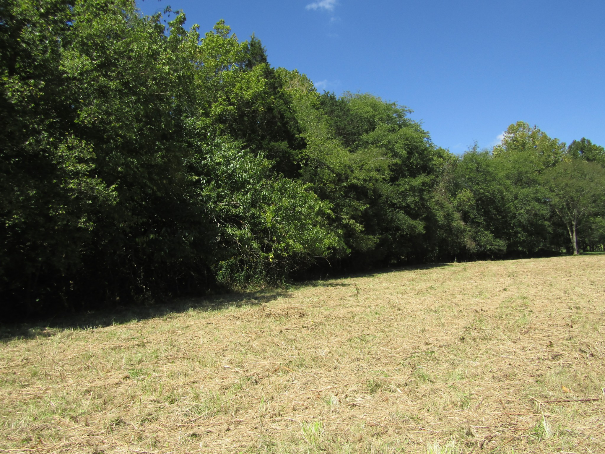 14 Ac Hartsville Road Lafayette TN 37083