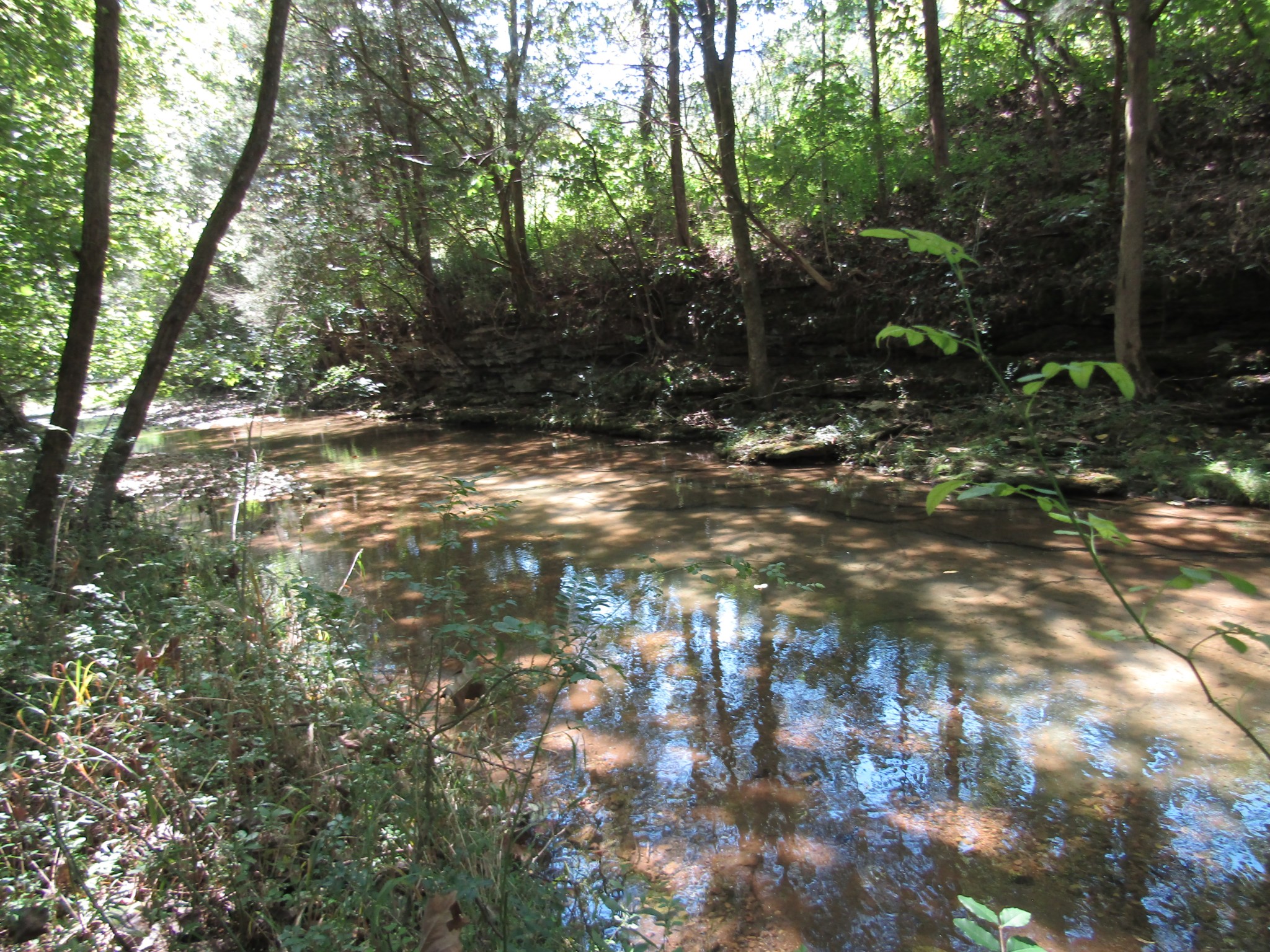 14 Ac Hartsville Road Lafayette TN 37083