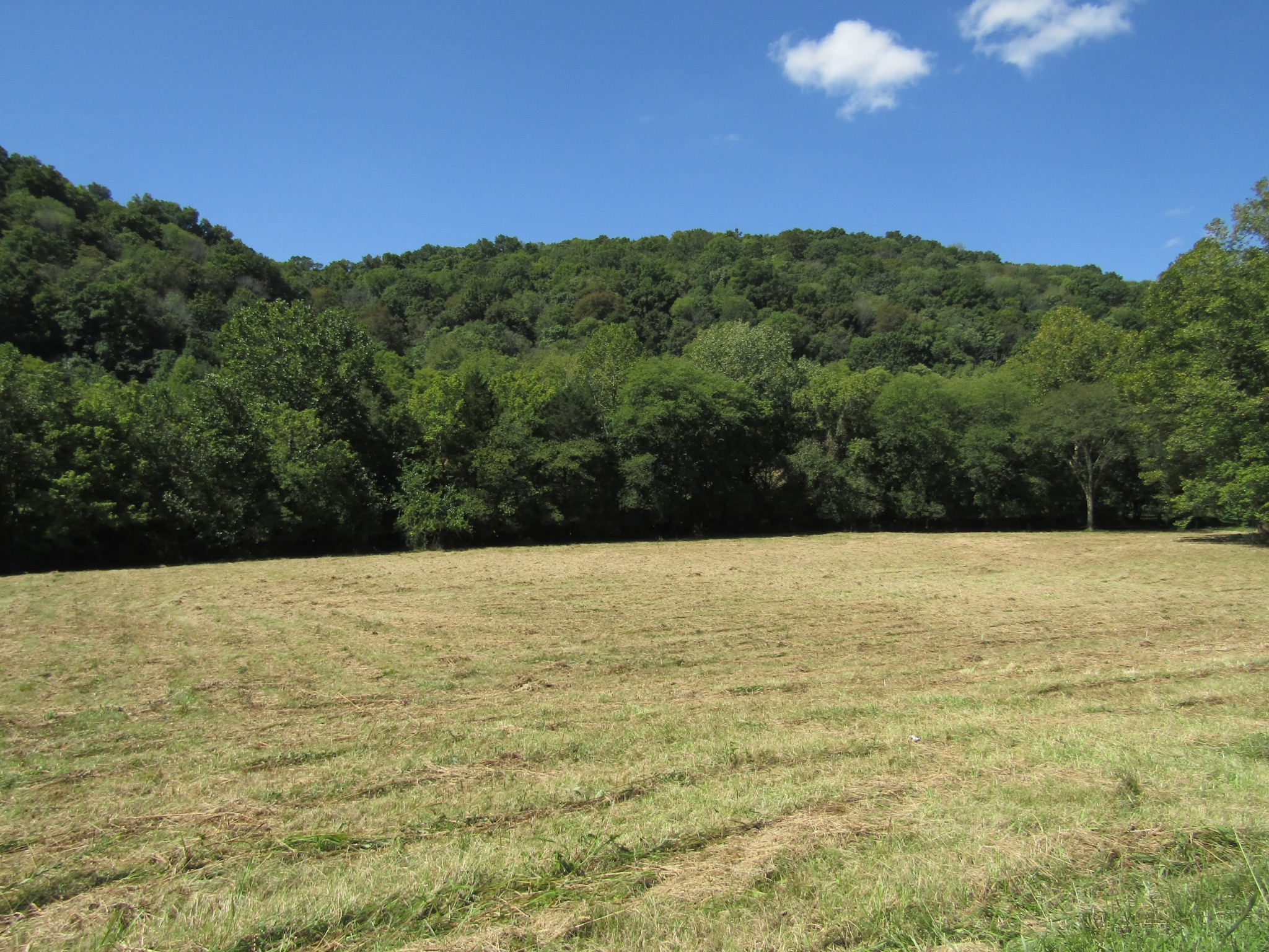 14 Ac Hartsville Road Lafayette TN 37083