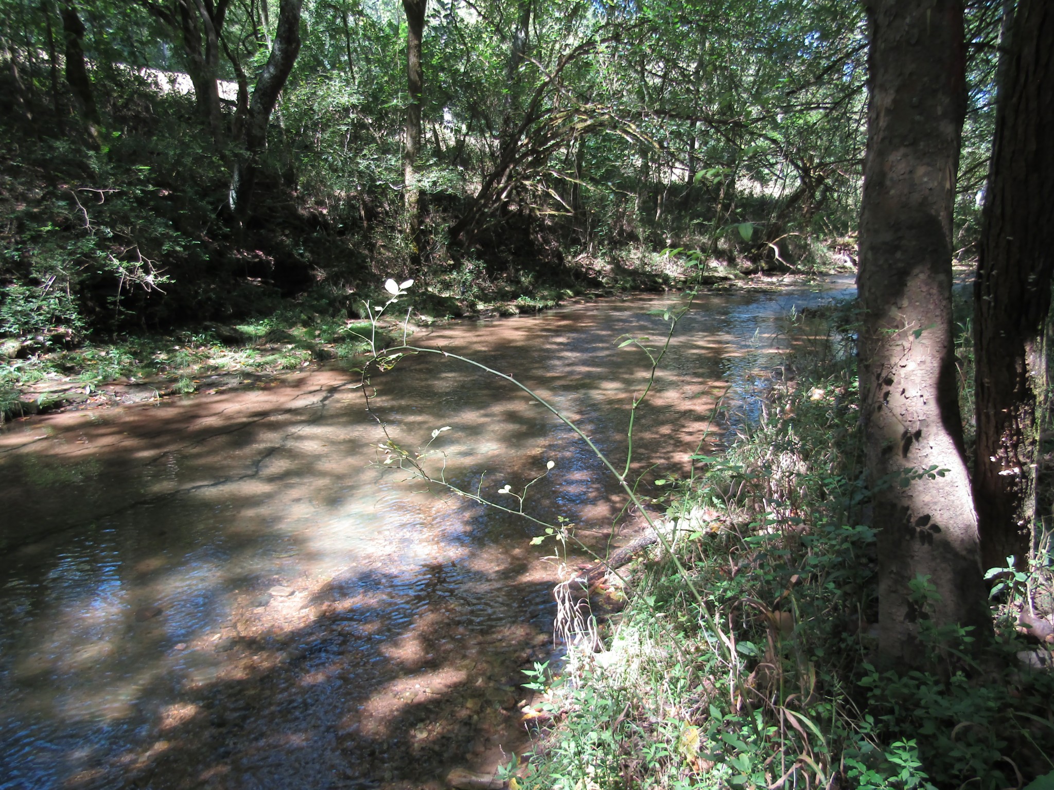 14 Ac Hartsville Road Lafayette TN 37083