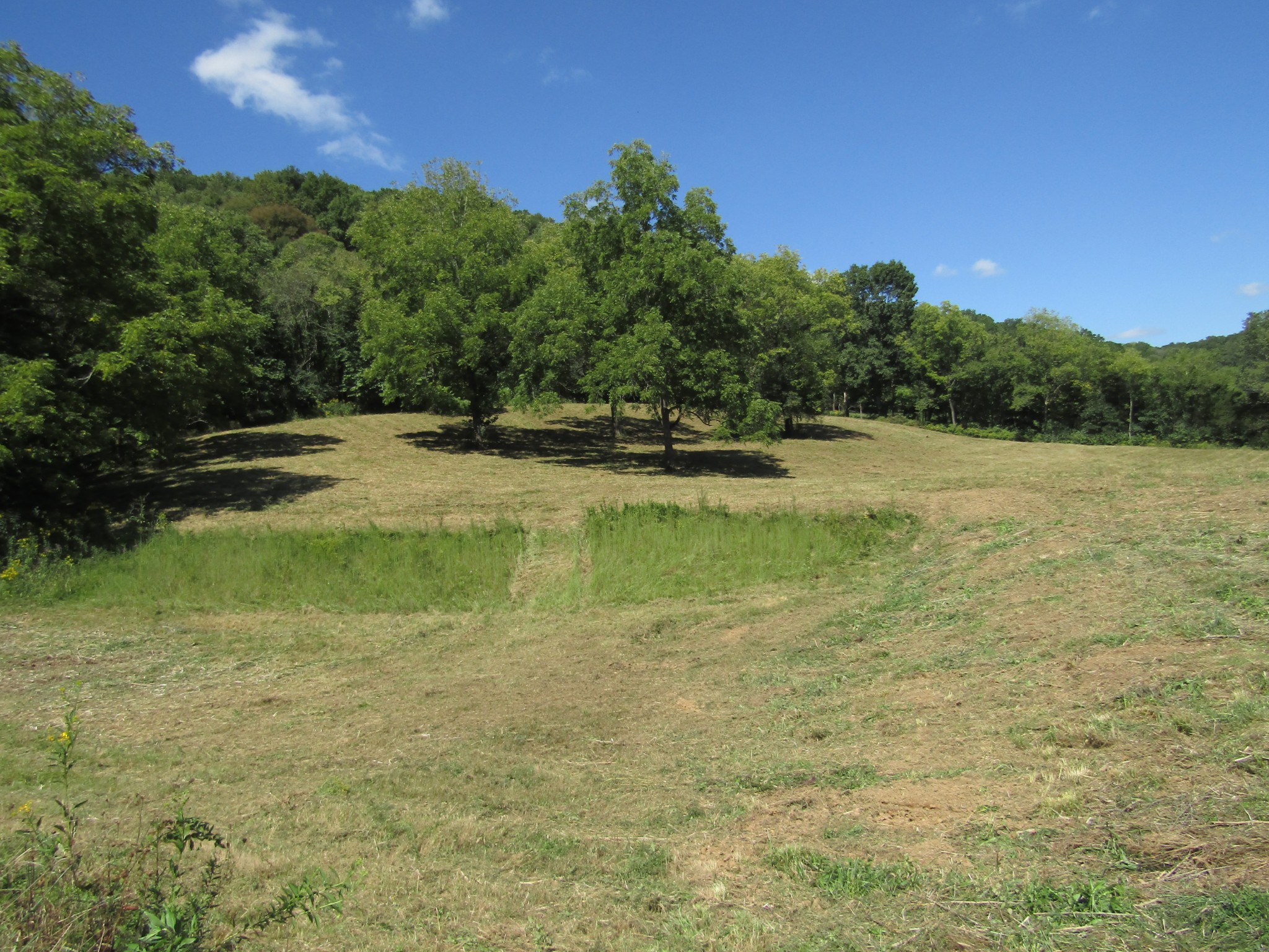 14 Ac Hartsville Road Lafayette TN 37083
