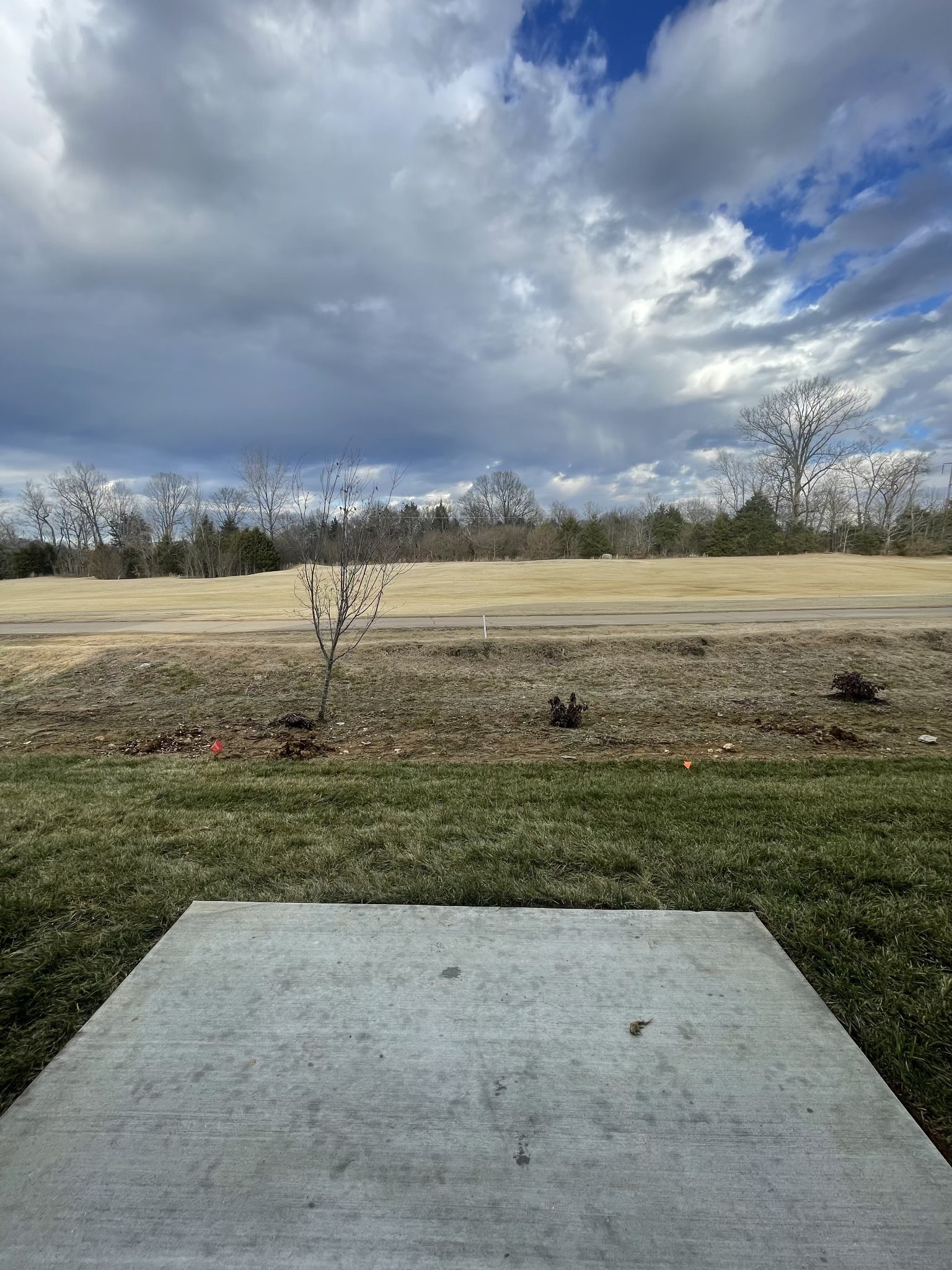 450 Alcott Way Spring Hill TN 37174