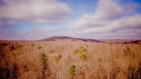309 Tree House Trail Dunlap TN 37327