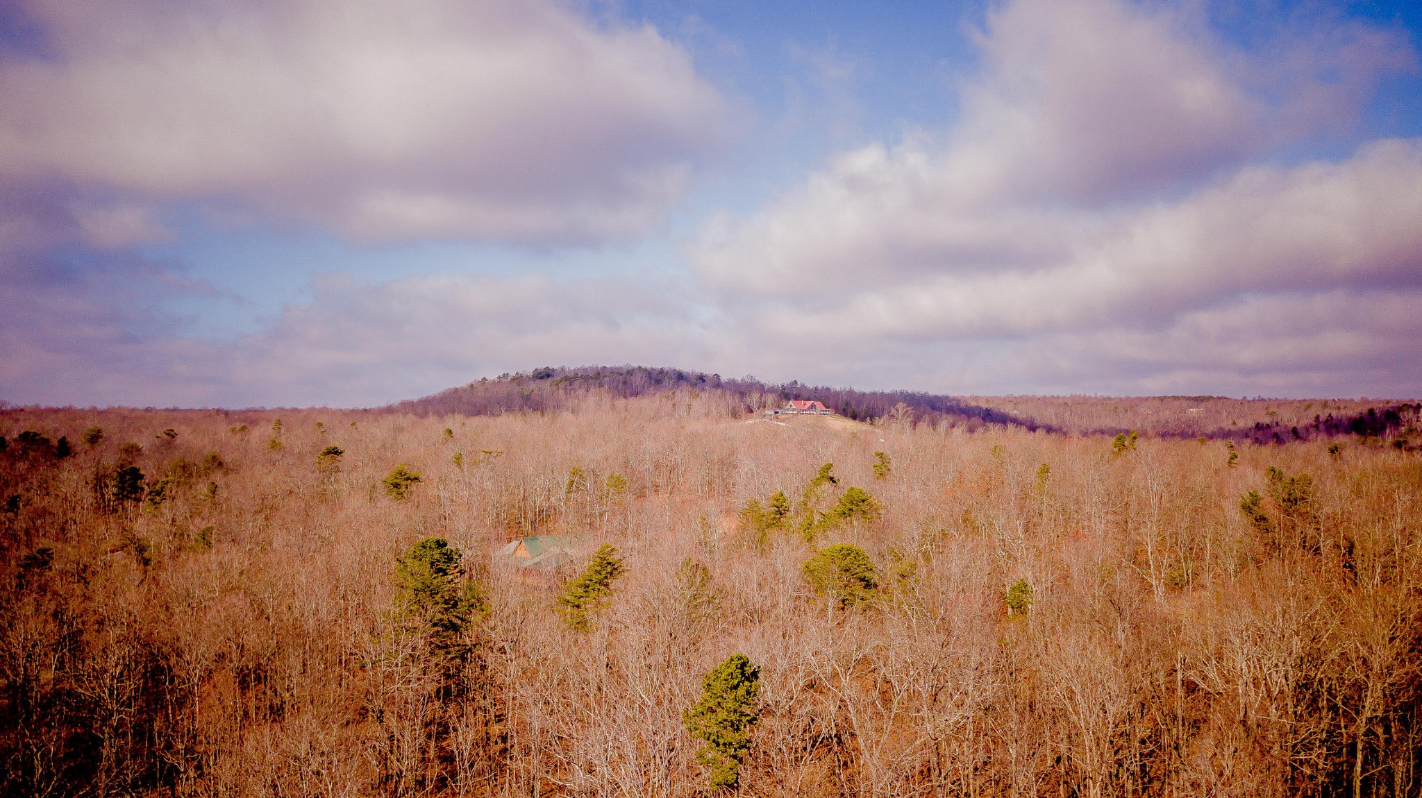 309 Tree House Trail Dunlap TN 37327