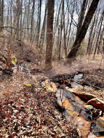 309 Tree House Trail Dunlap TN 37327