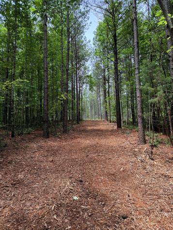 0 Spokelay Road Spencer TN 38585