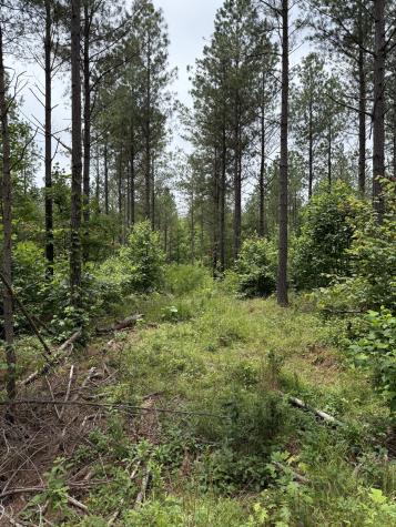 0 Spokelay Road Spencer TN 38585