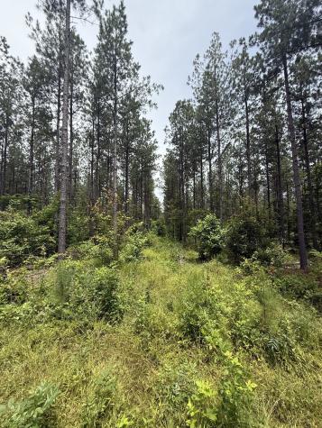 0 Spokelay Road Spencer TN 38585