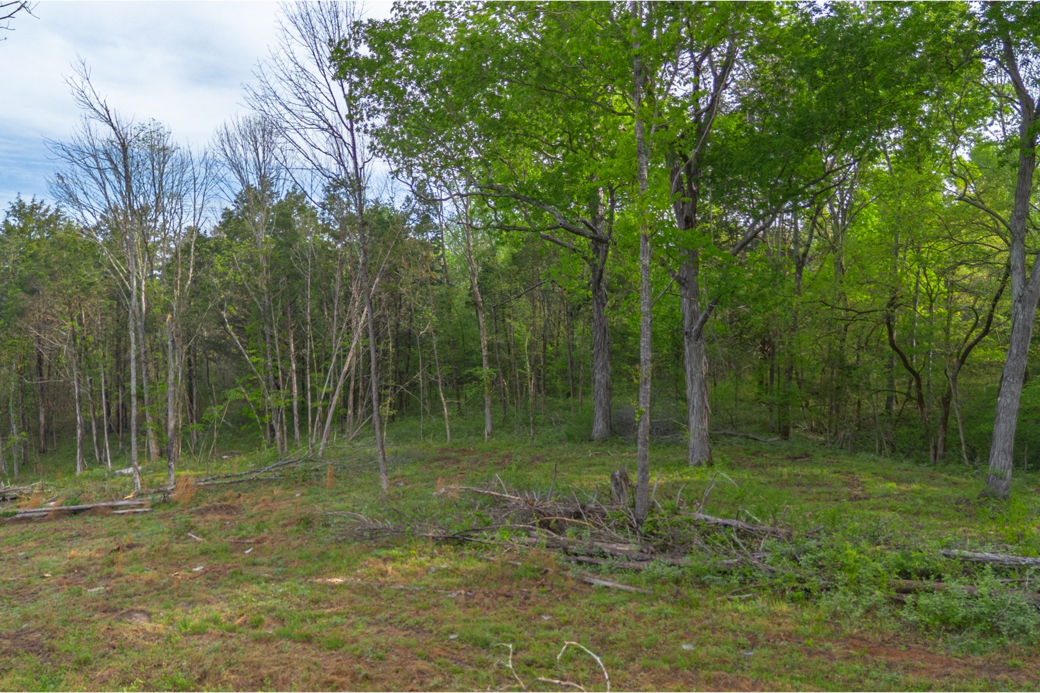 6205 Hunters Point Pike Lebanon TN 37087