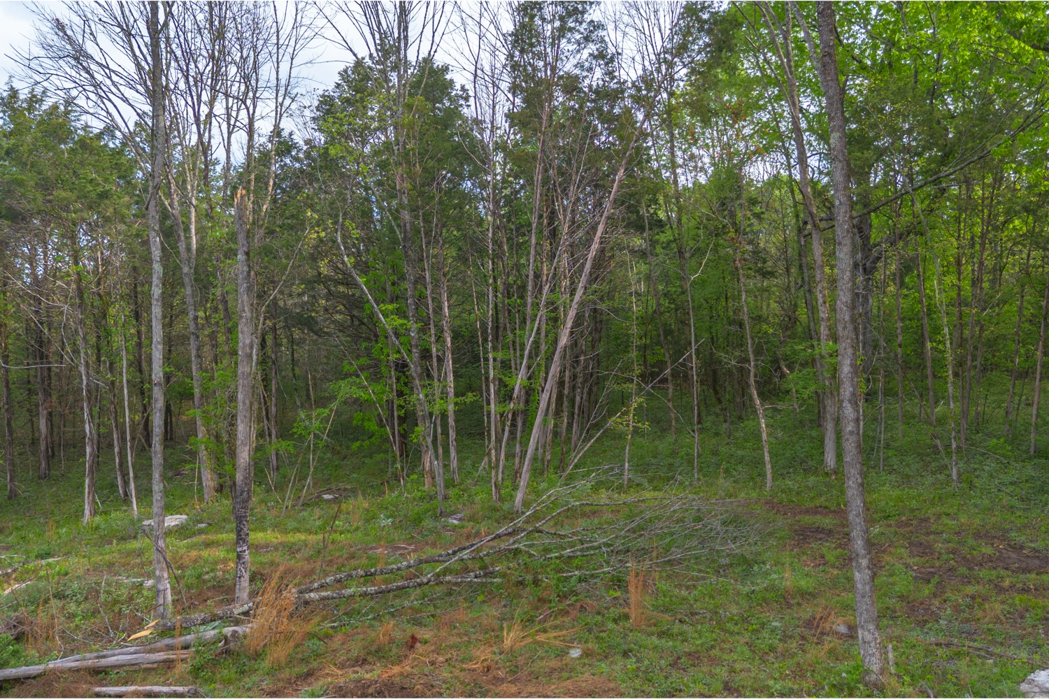 6205 Hunters Point Pike Lebanon TN 37087