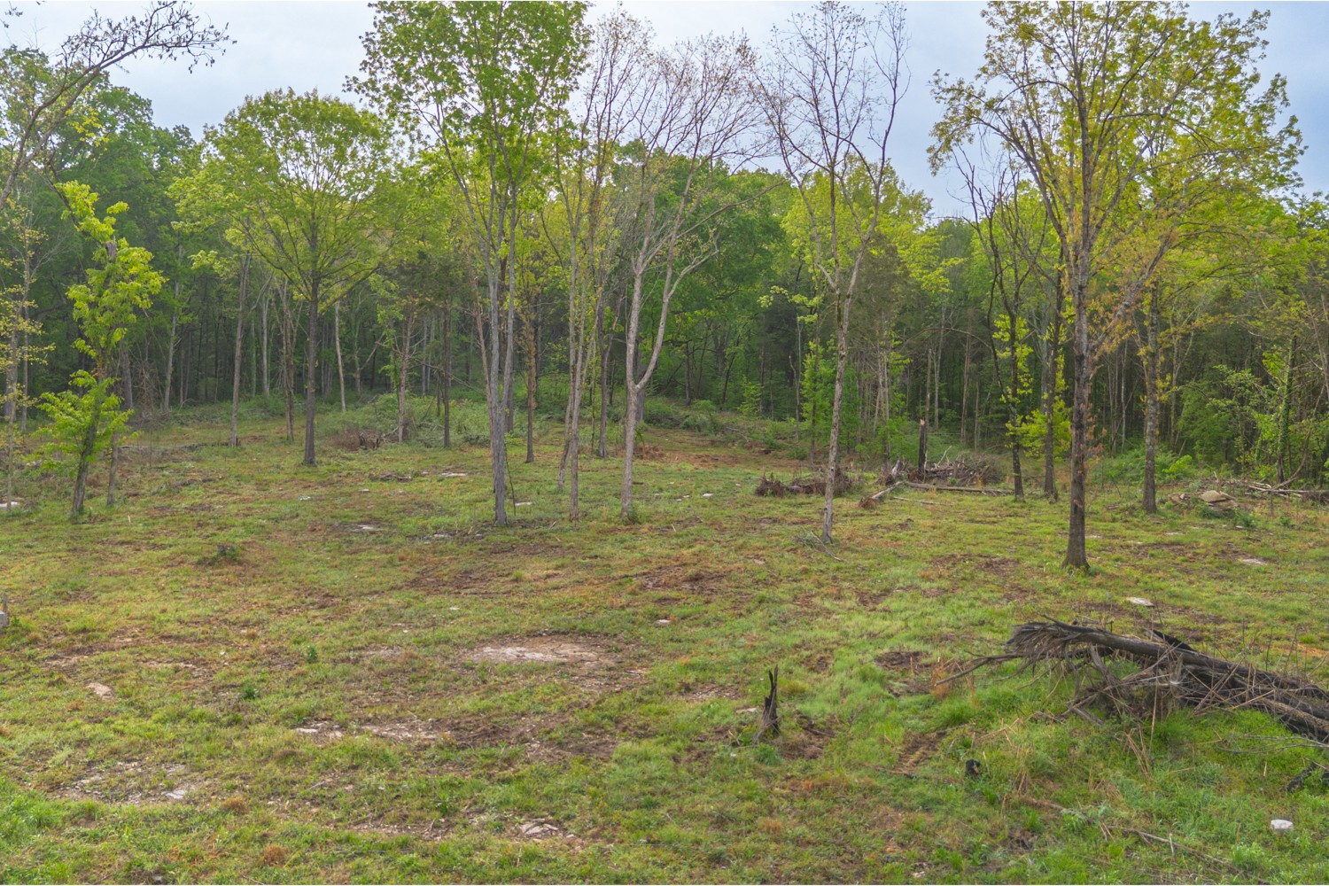 6205 Hunters Point Pike Lebanon TN 37087