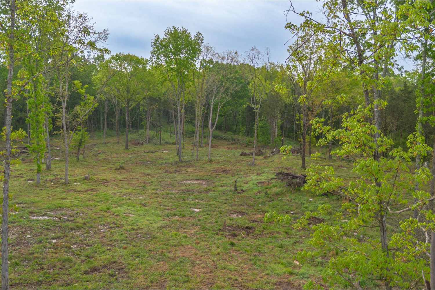 6205 Hunters Point Pike Lebanon TN 37087
