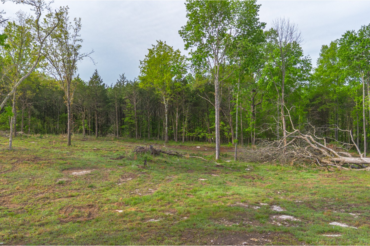 6205 Hunters Point Pike Lebanon TN 37087