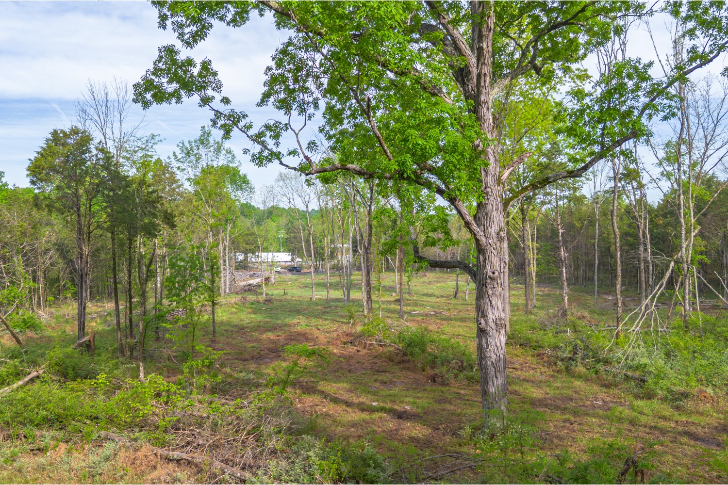 6205 Hunters Point Pike Lebanon TN 37087