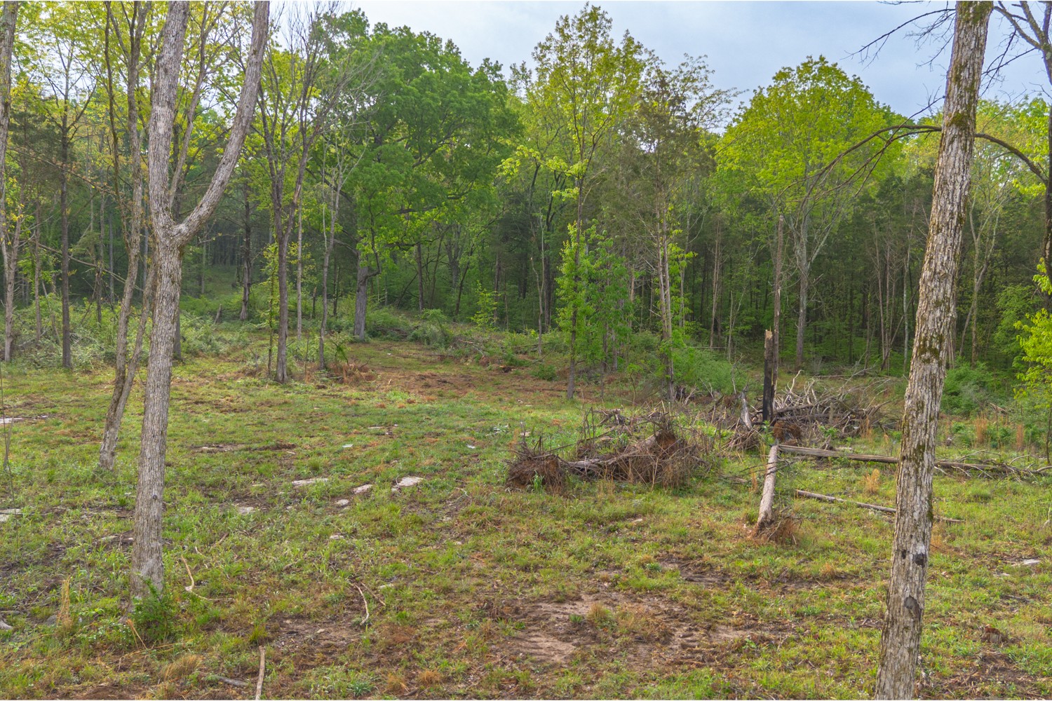 6205 Hunters Point Pike Lebanon TN 37087
