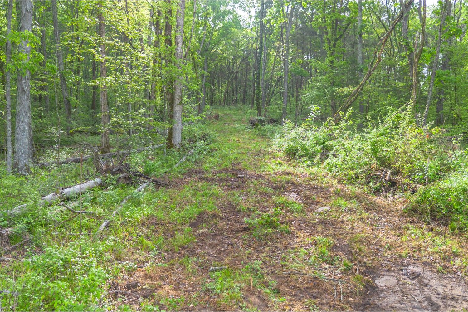 6205 Hunters Point Pike Lebanon TN 37087