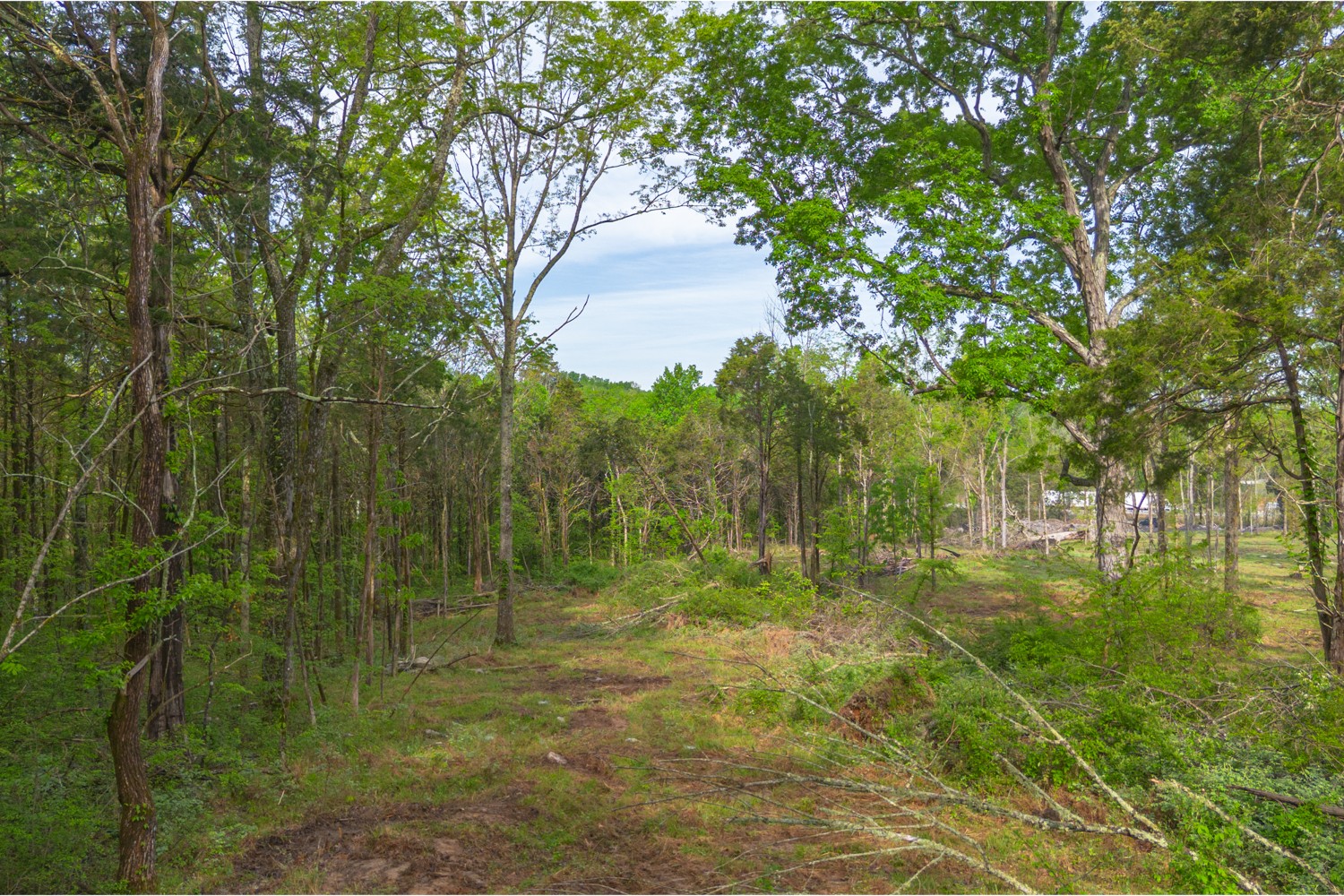 6205 Hunters Point Pike Lebanon TN 37087