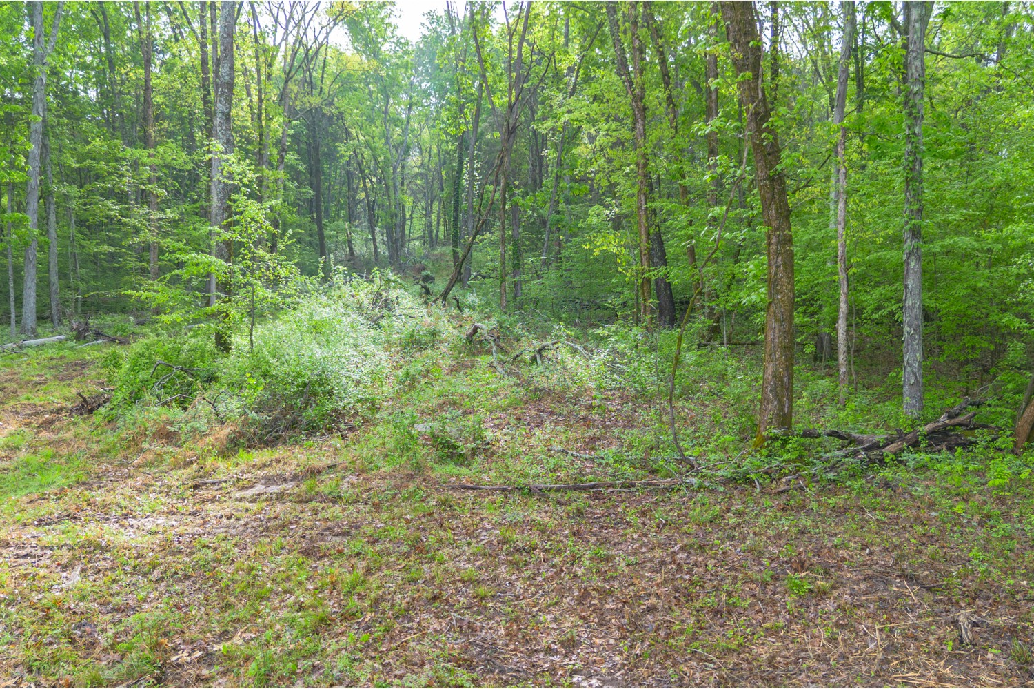 6205 Hunters Point Pike Lebanon TN 37087