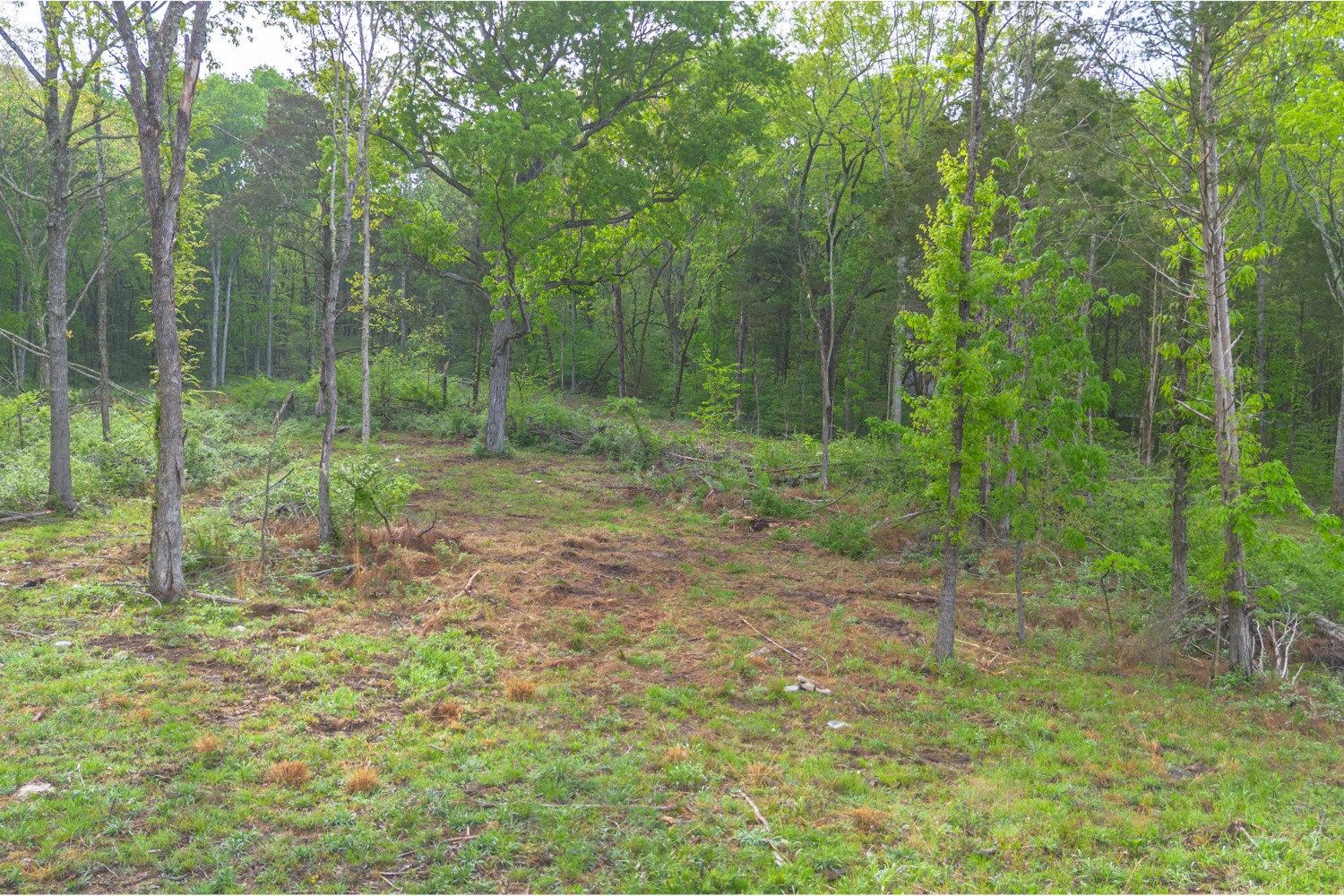 6205 Hunters Point Pike Lebanon TN 37087