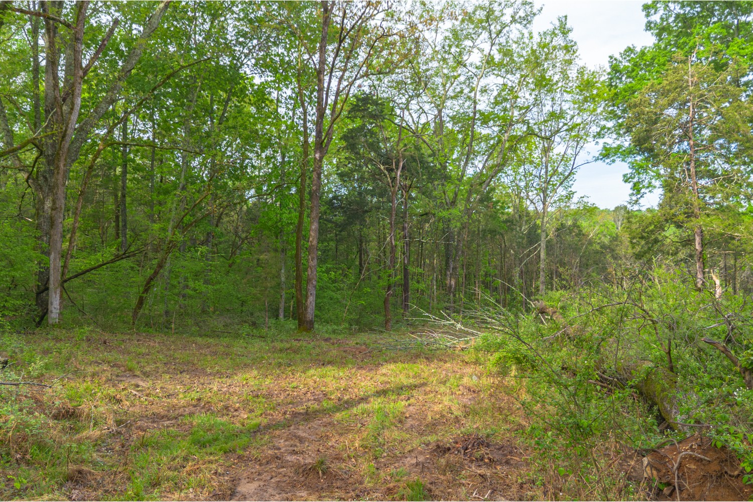 6205 Hunters Point Pike Lebanon TN 37087